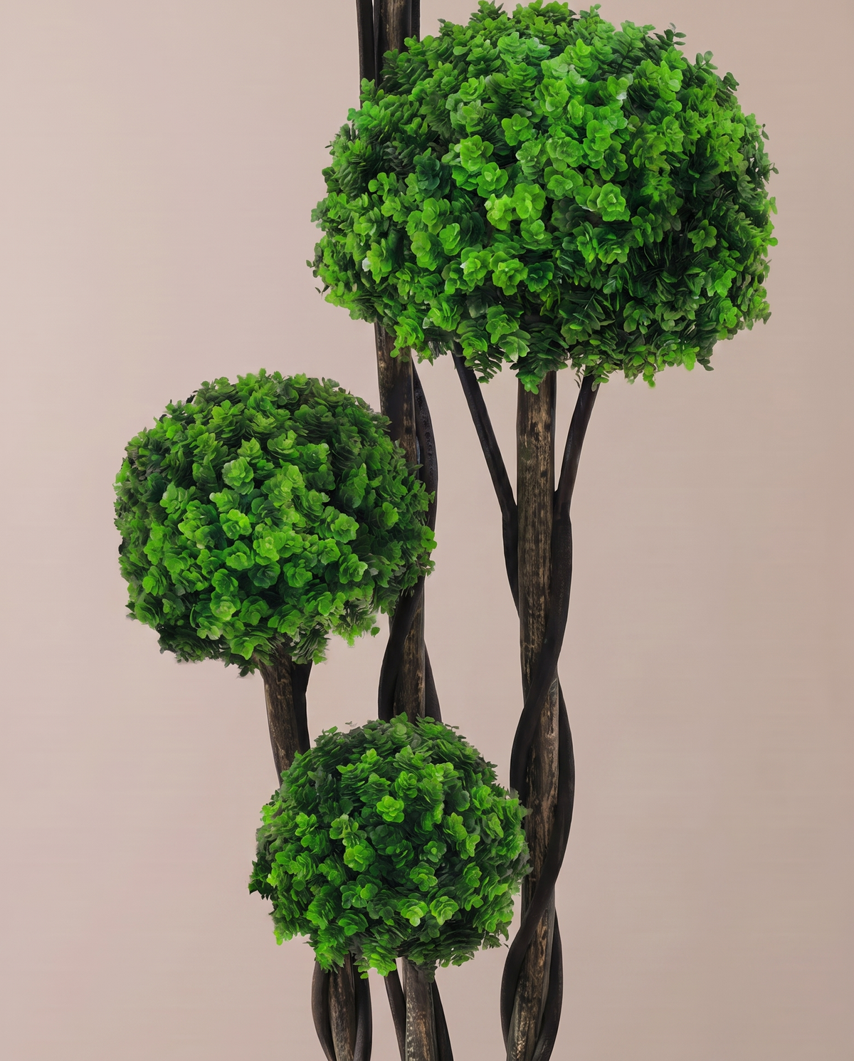 Boxwood Moss Ball Topiary Bonsai Tree 4 Tier