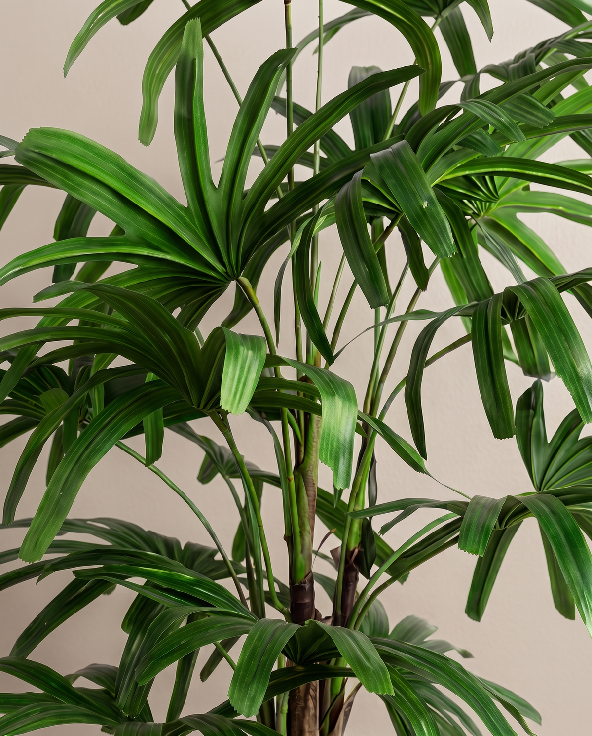 Artificial Lady Palm Plant – fan leaf close-up