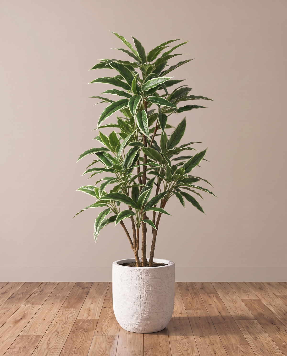 Variegated Rohdea Tree – full view in a neutral interior
