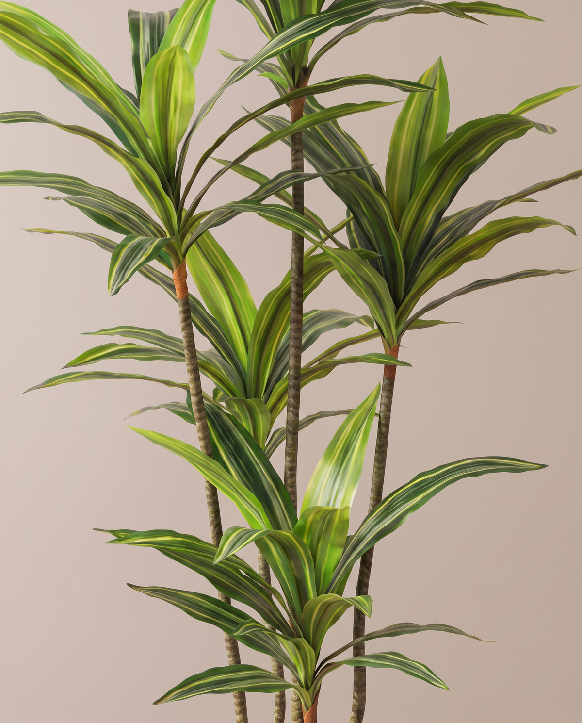 Artificial Yucca Plant with Variegated Leaves