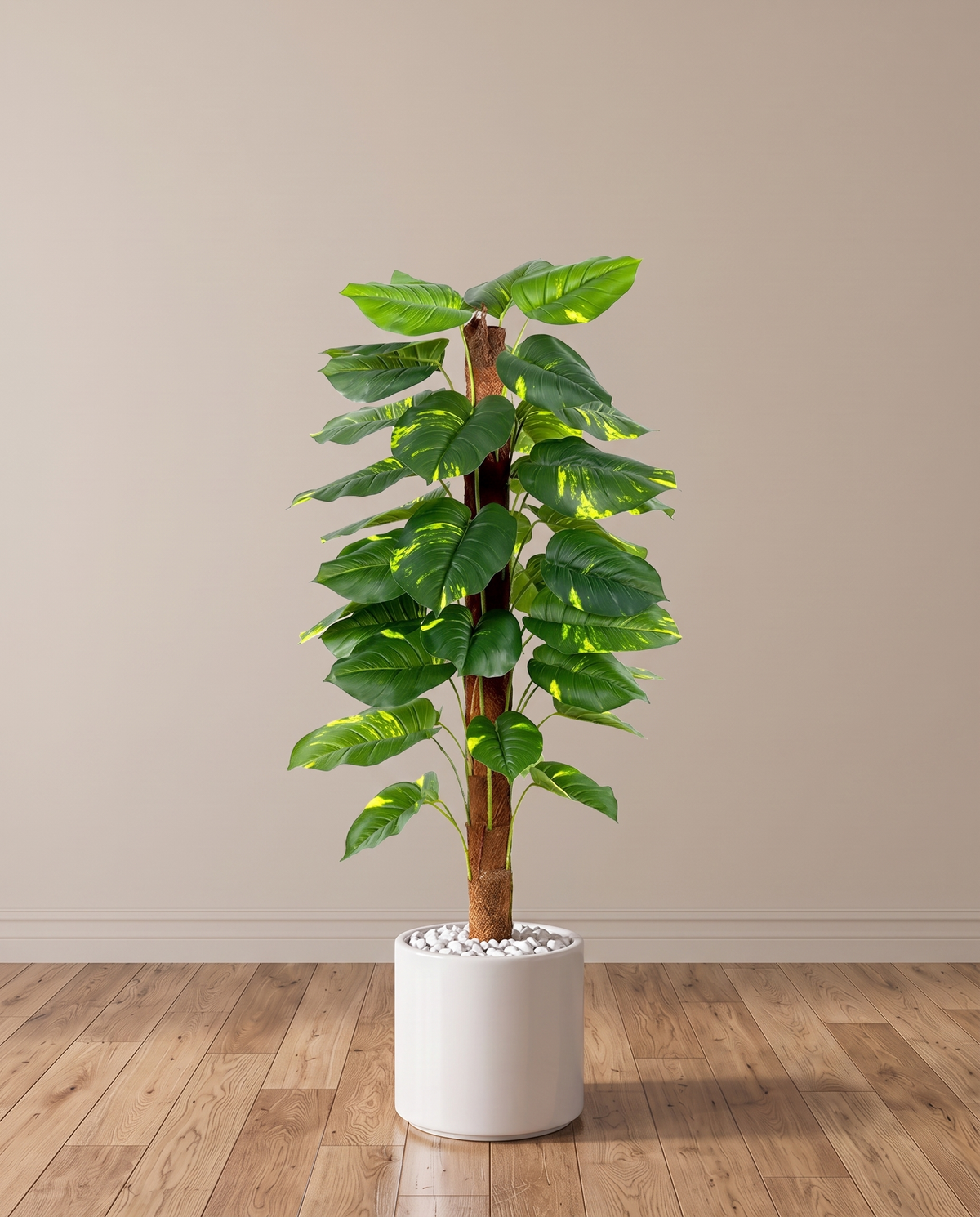 Faux Ornamental Money Plant
