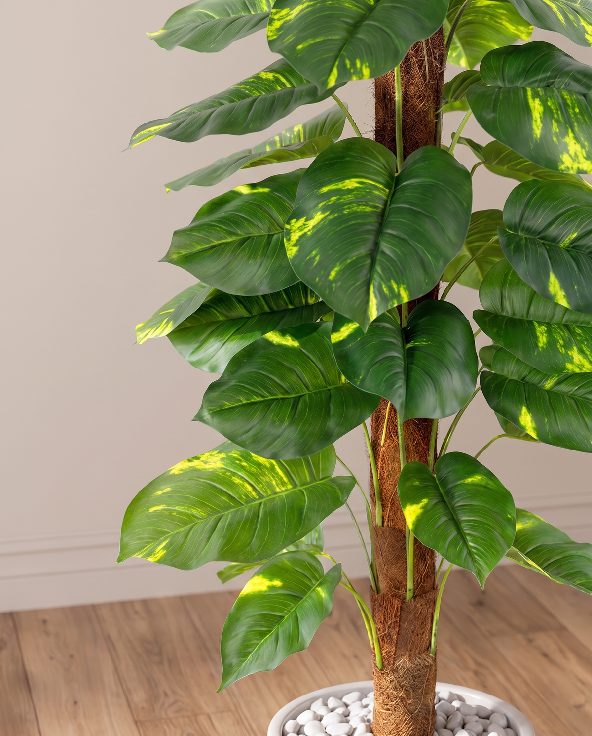 Faux Ornamental Money Plant