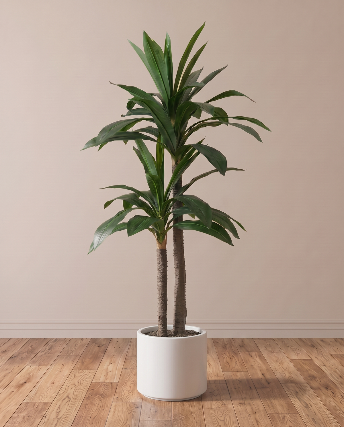 Artificial Double Headed Dracaena Fragrans Tree