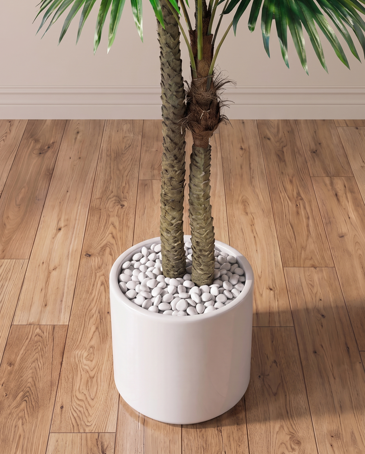 Twin Fan Palm Tree