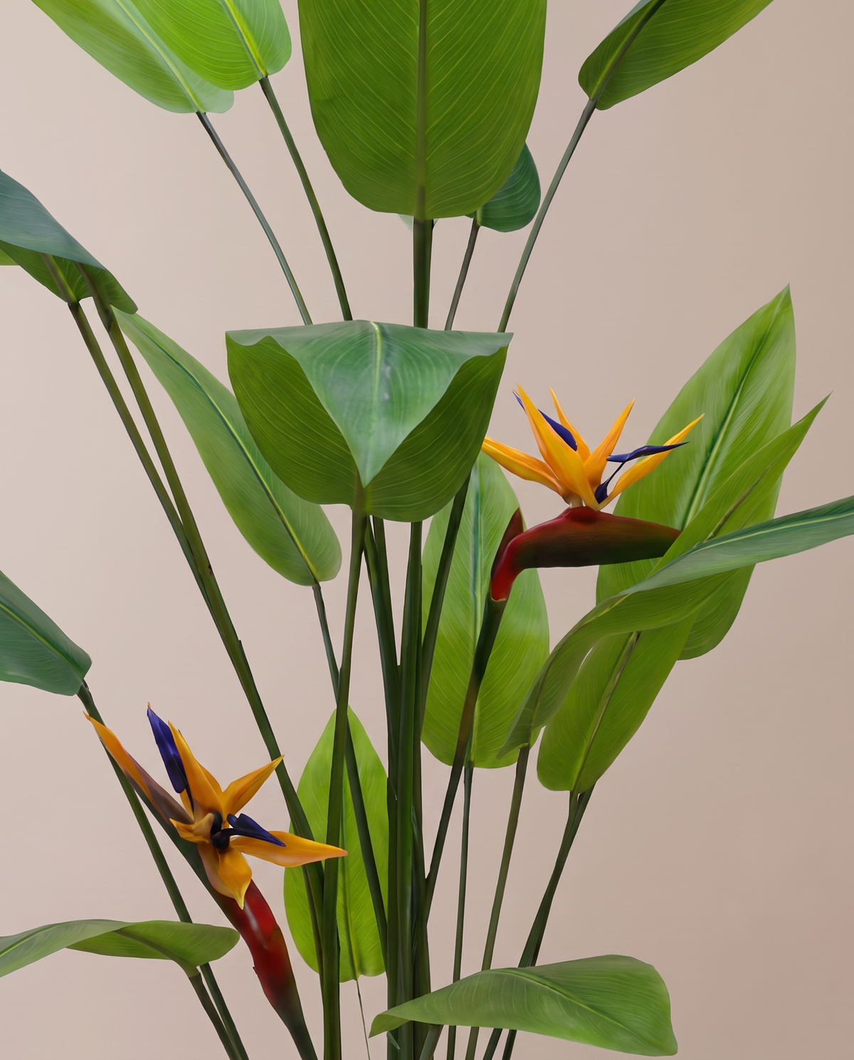 Bird of Paradise Artificial Plant with Flower