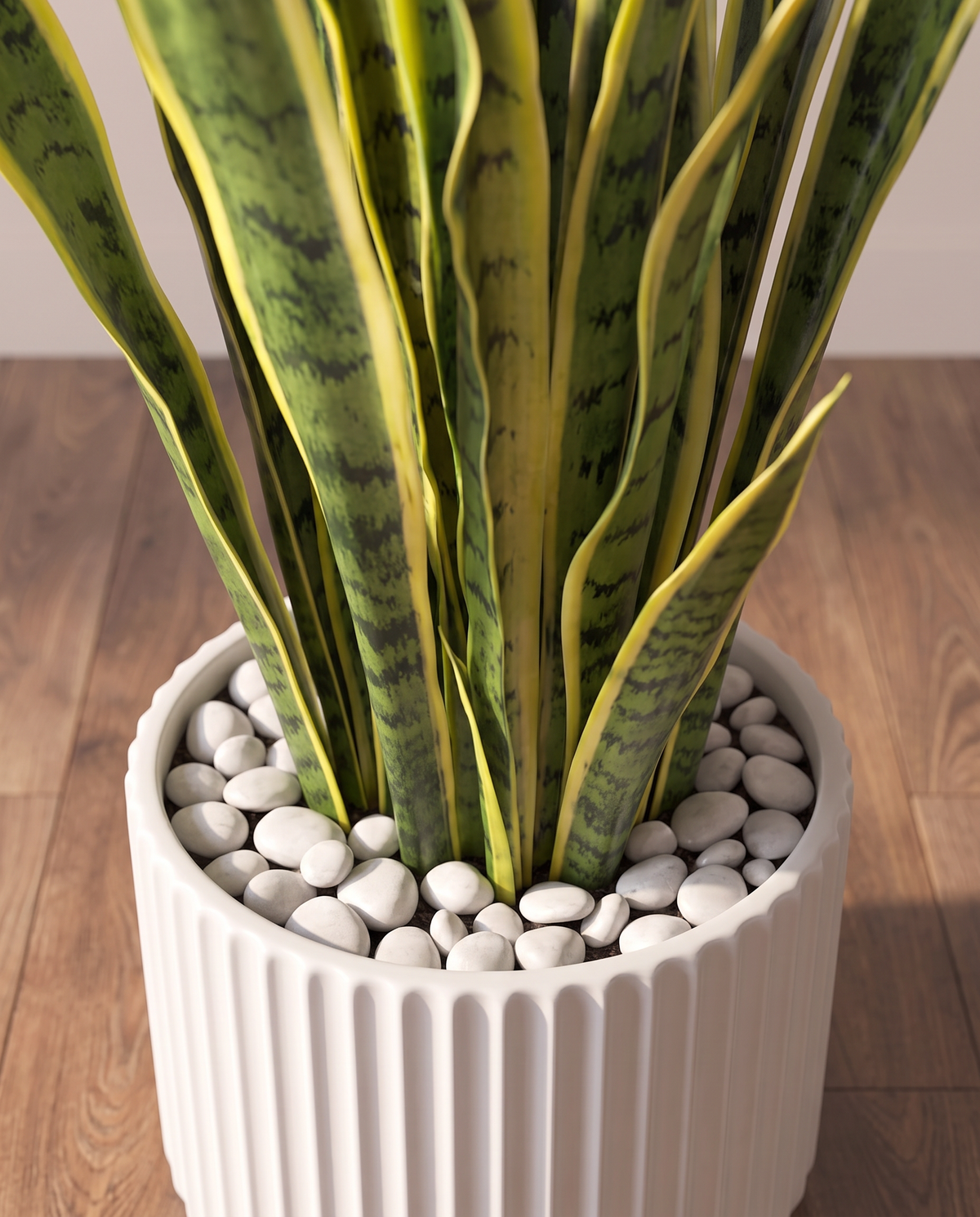 Sansevieria Artificial Plant Yellow Edges – closer view of the leaves and base
