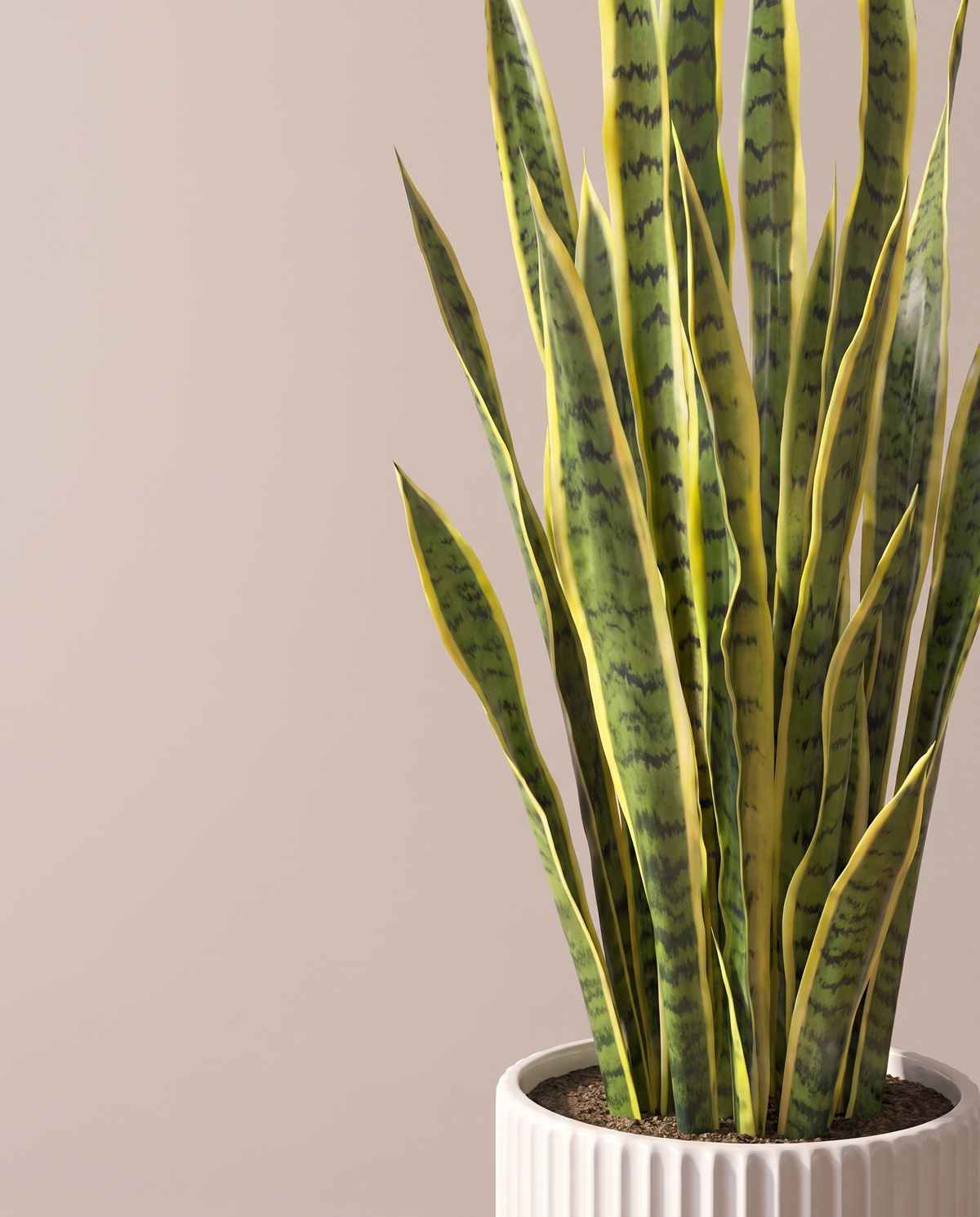 Sansevieria Artificial Plant Yellow Edges – variegated leaf detail
