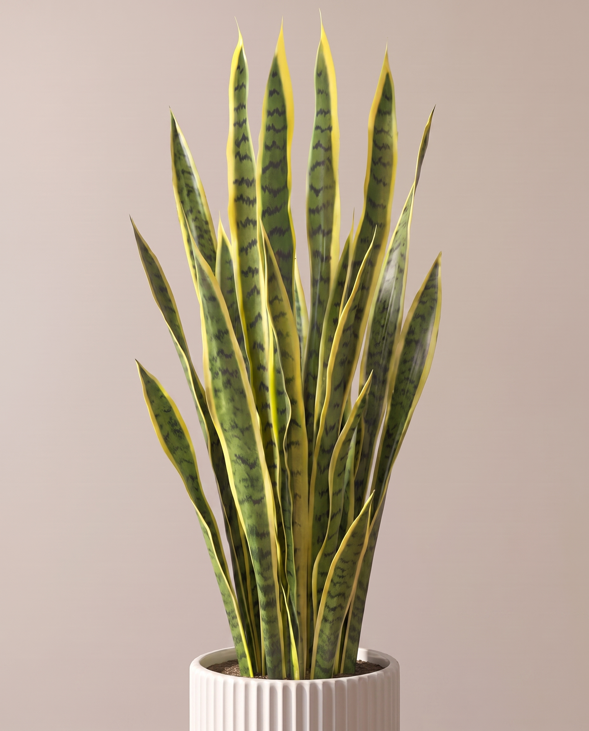 Sansevieria Artificial Plant Yellow Edges – upper leaf view