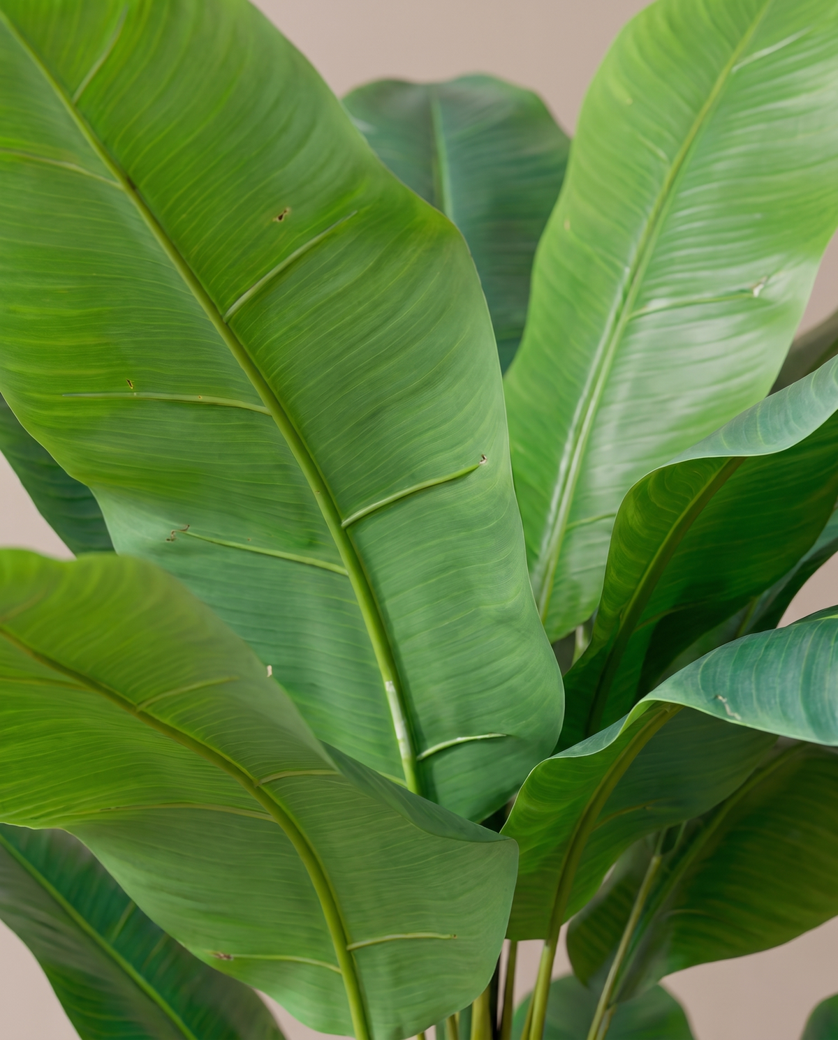 Artificial Banana Fuax Tree