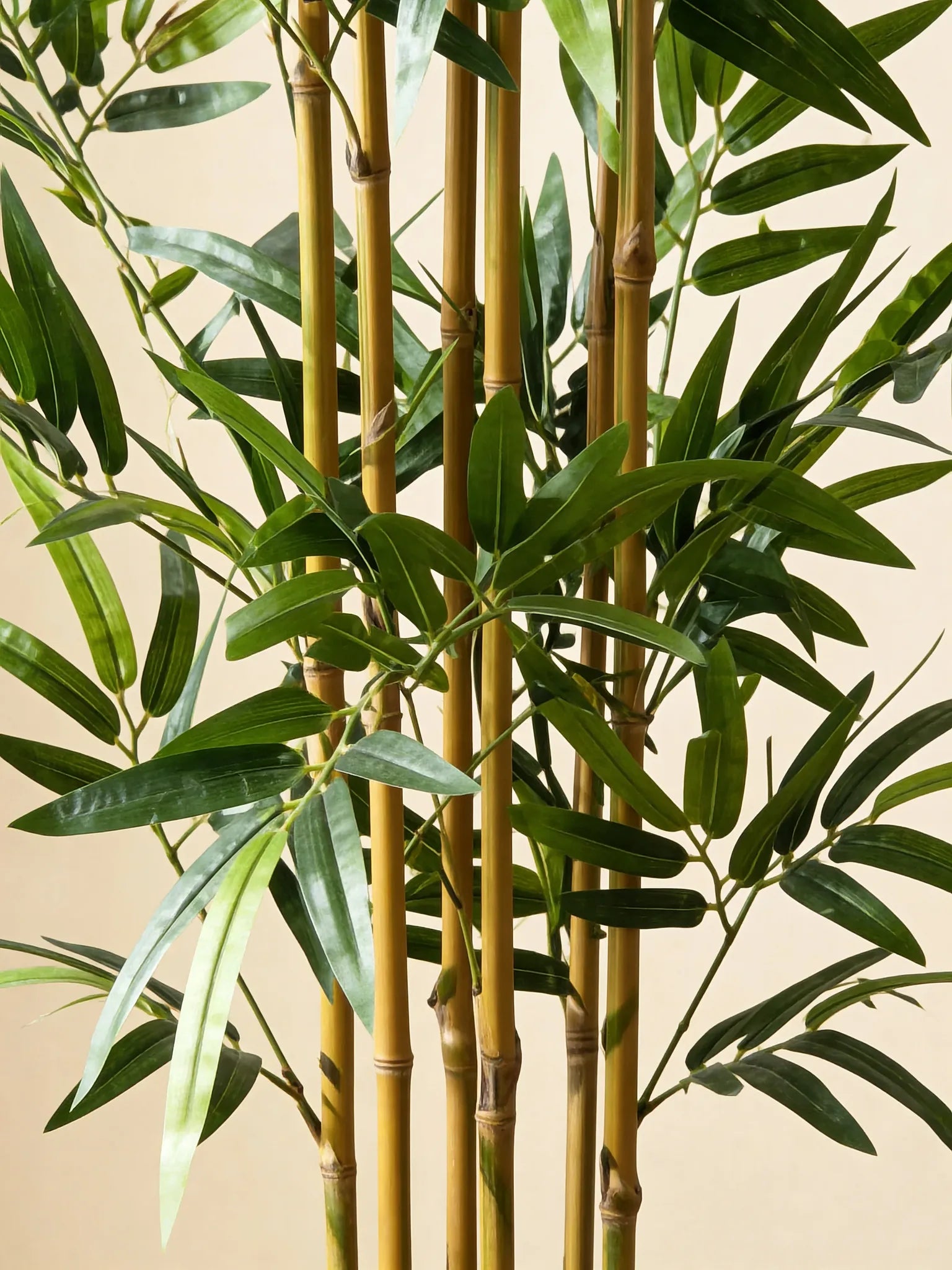 Pale-stem Bambusa bamboo artificial plant, close-up detail