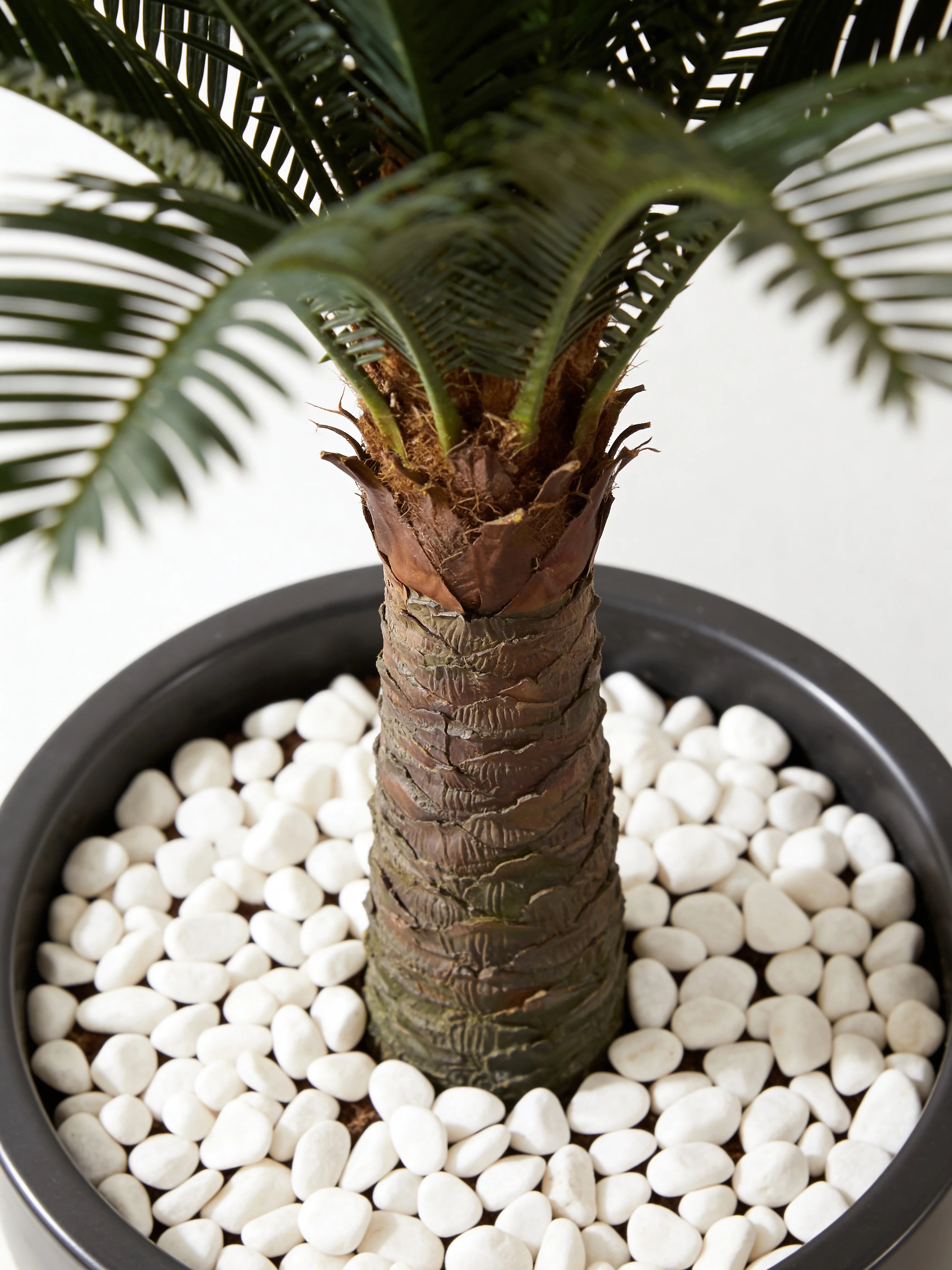 Artificial cycas sago palm tree in a Dubai living room