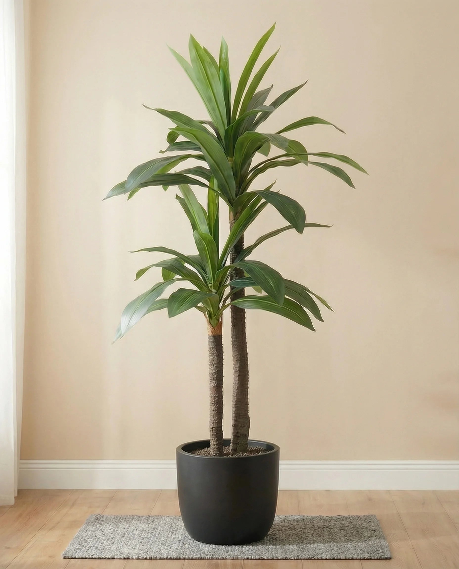 Double-headed artificial dracaena tree