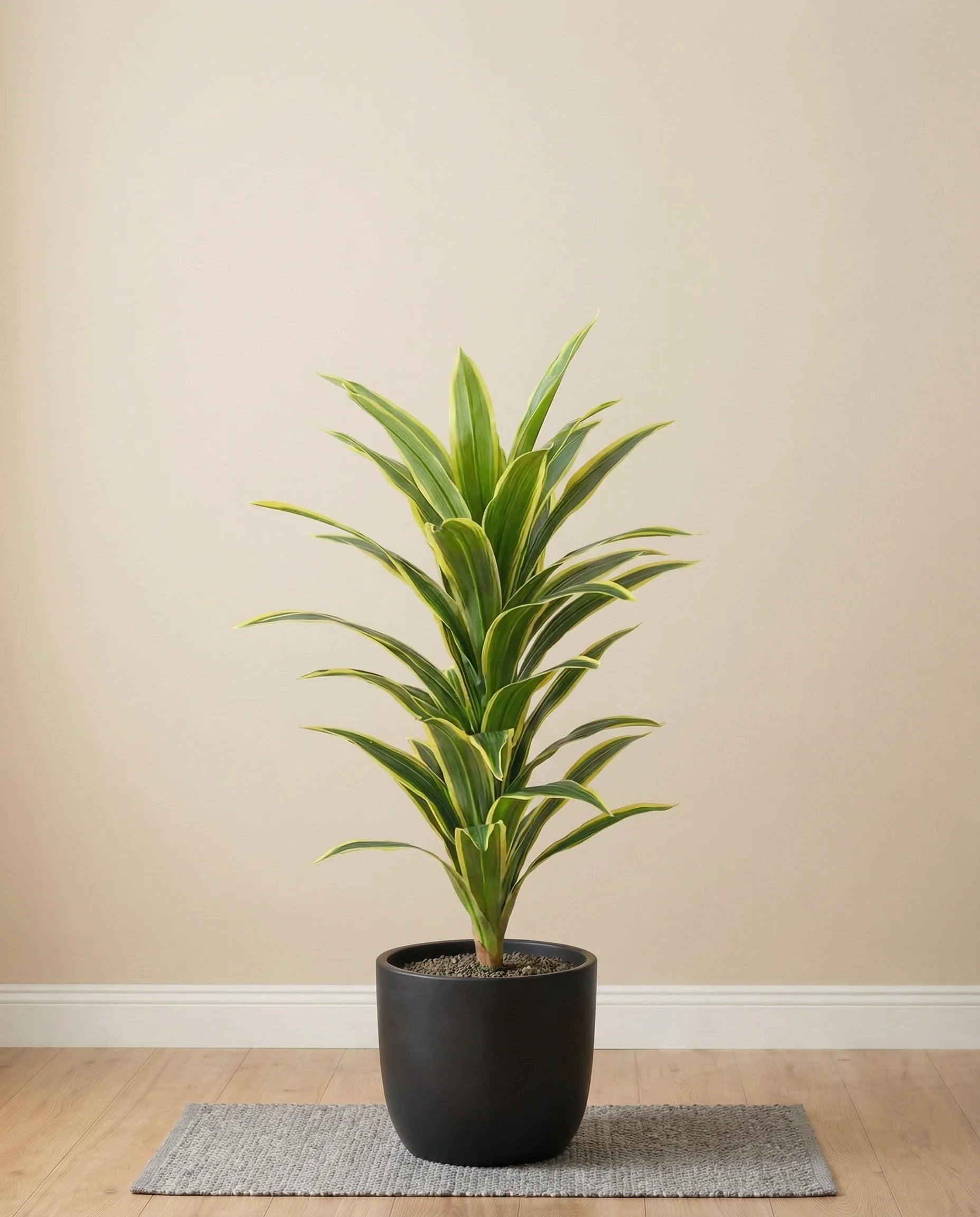 Yellow artificial dracaena fragrans plant