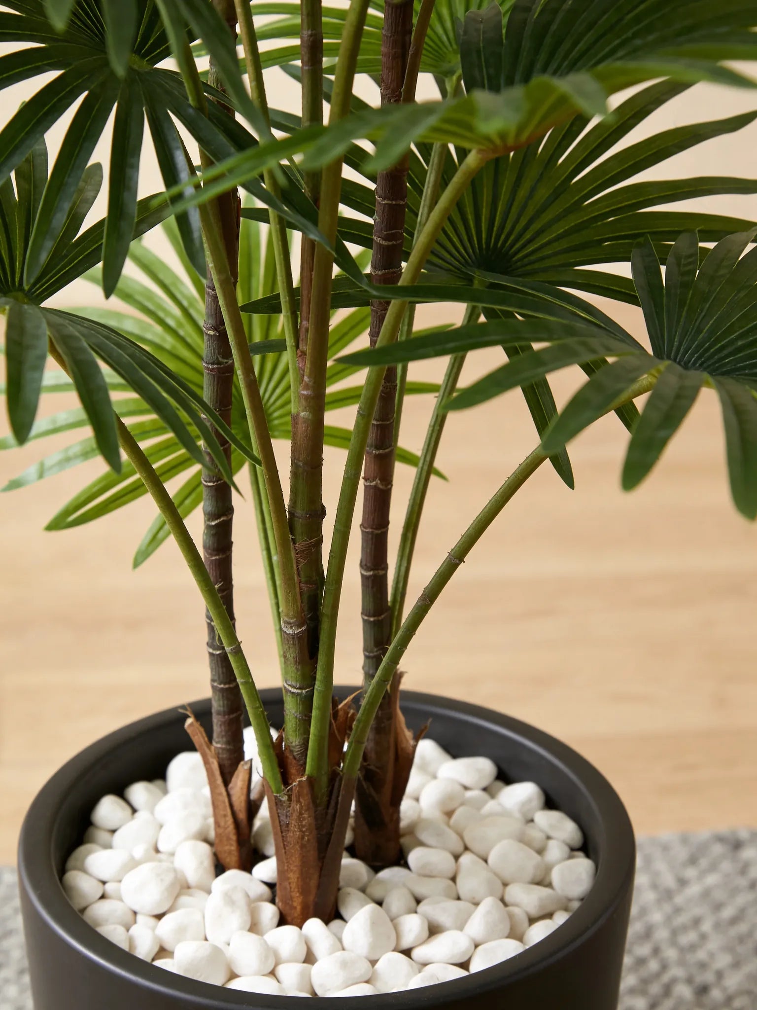 Artificial indoor fan palm plant in a Dubai living room