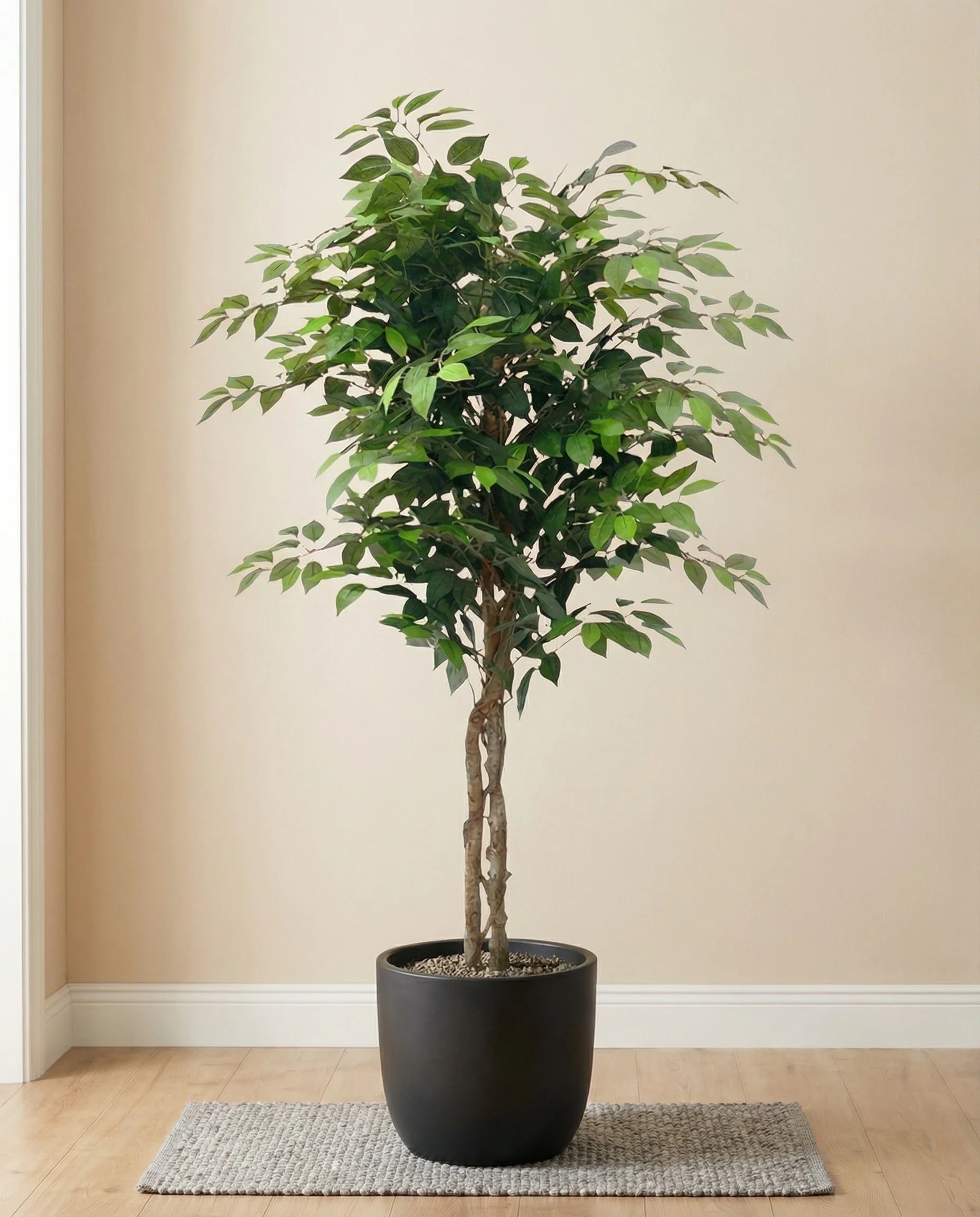 Artificial Ficus Benjamina Tree Single Trunk