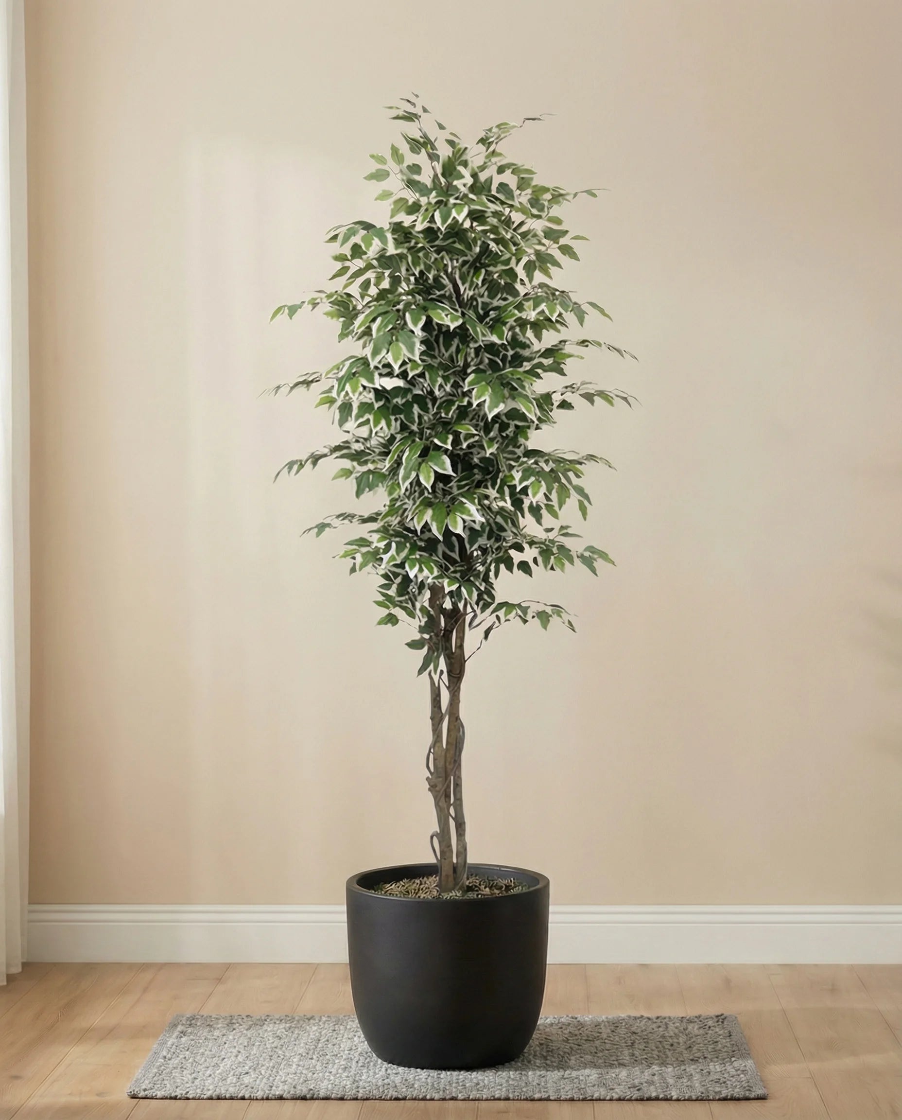 Artificial Ficus Benjamina Tree with Variegated Leaves