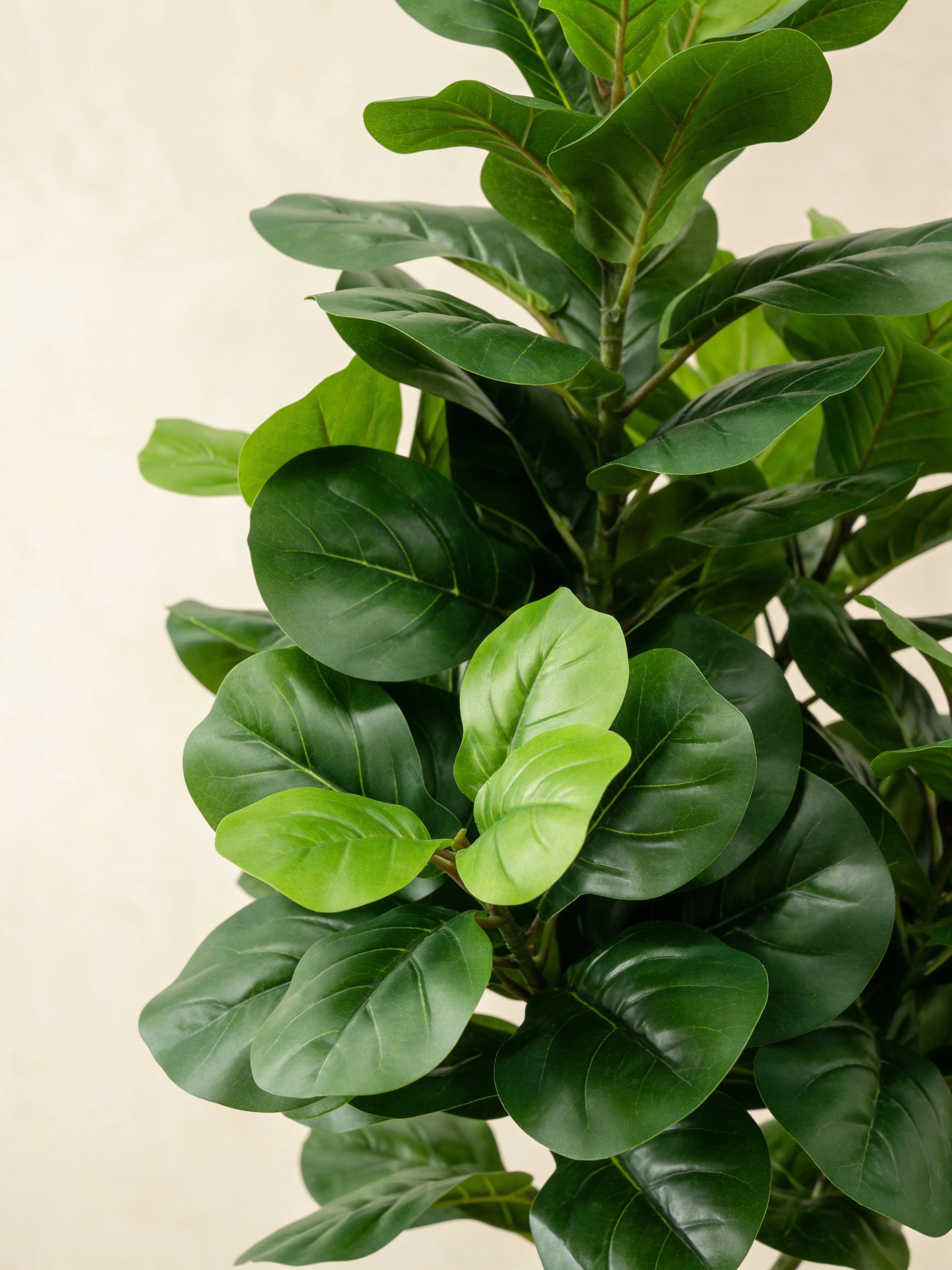 Artificial Fiddle Leaf Fig Plant Ficus Lyrata