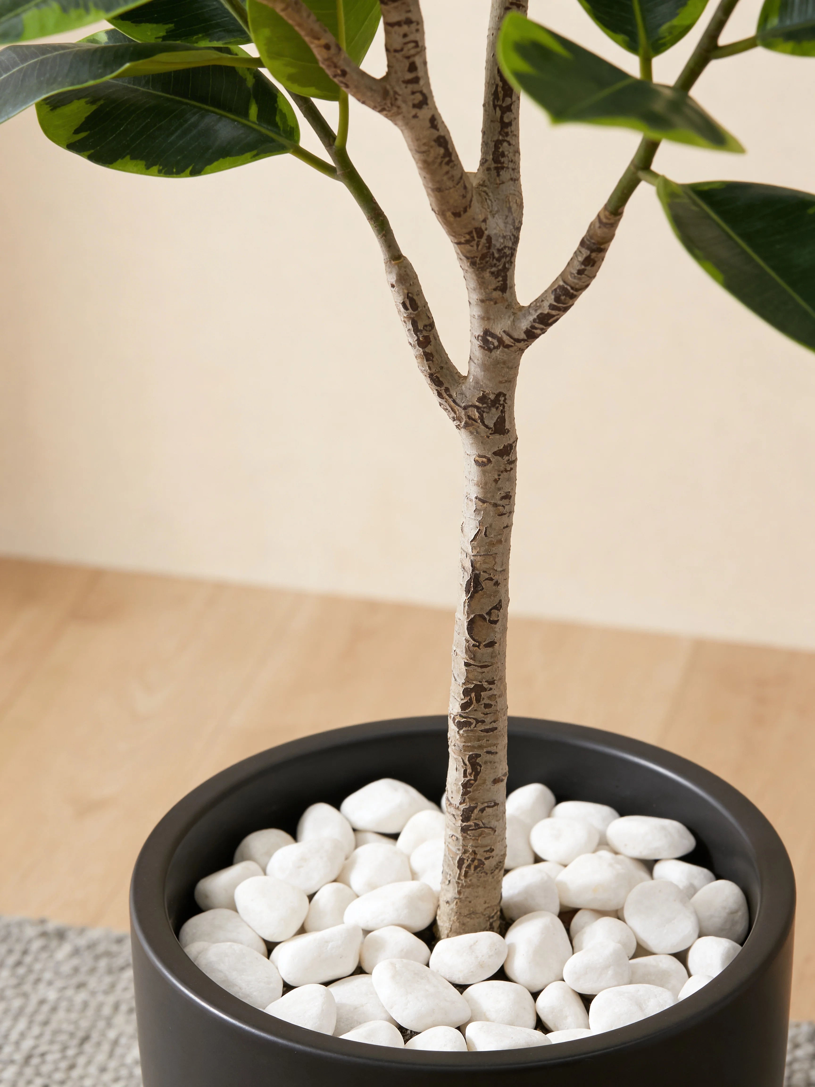 Artificial Fiddle Leaf Fig Tree Ficus lyrata