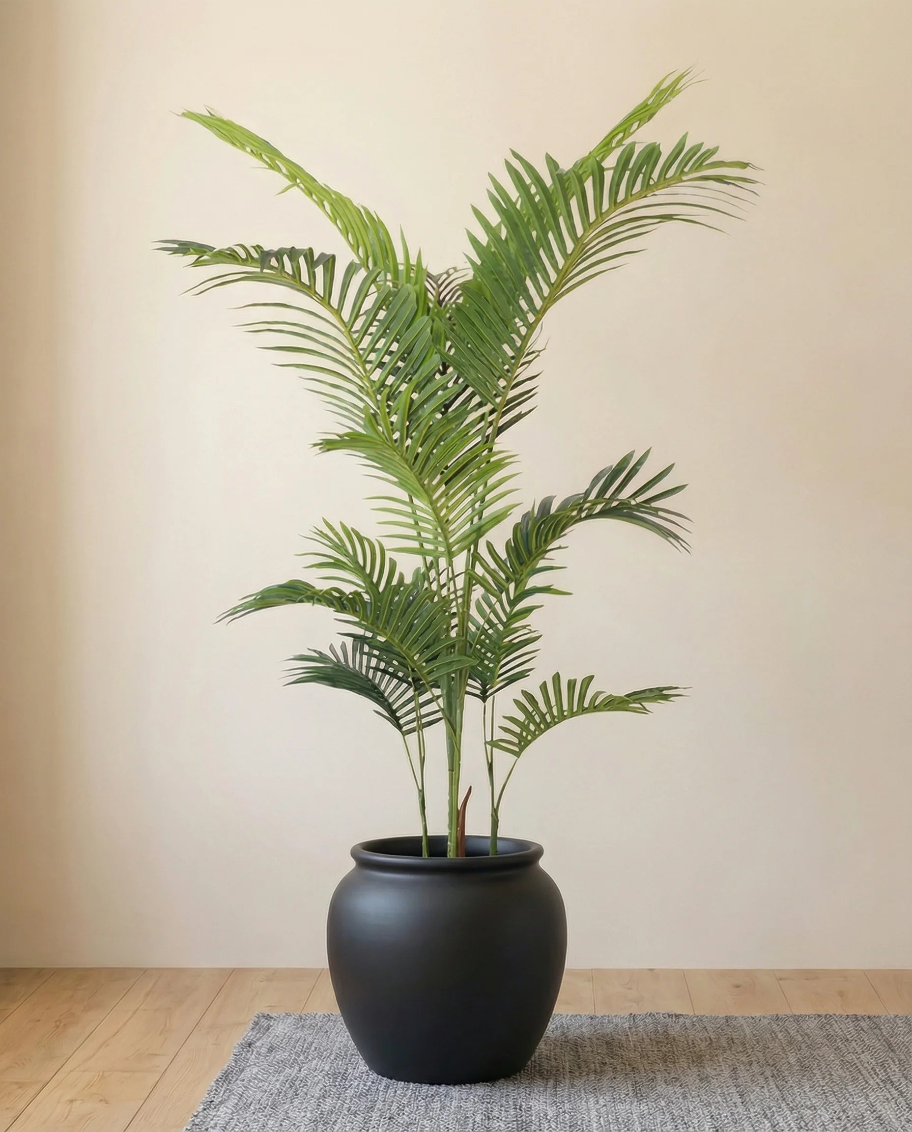 Artificial kentia palm tree