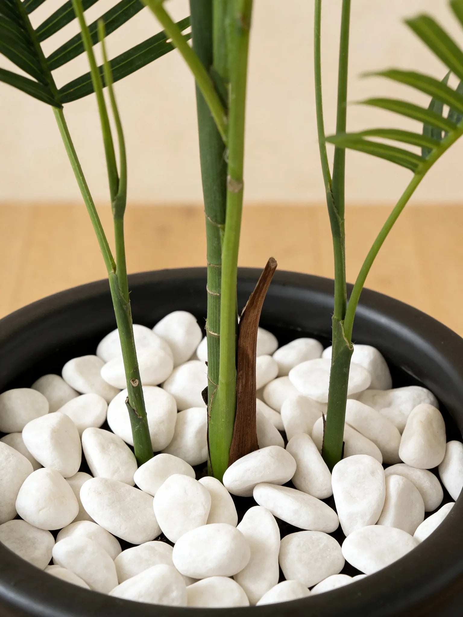 Artificial kentia palm tree in a Dubai living room