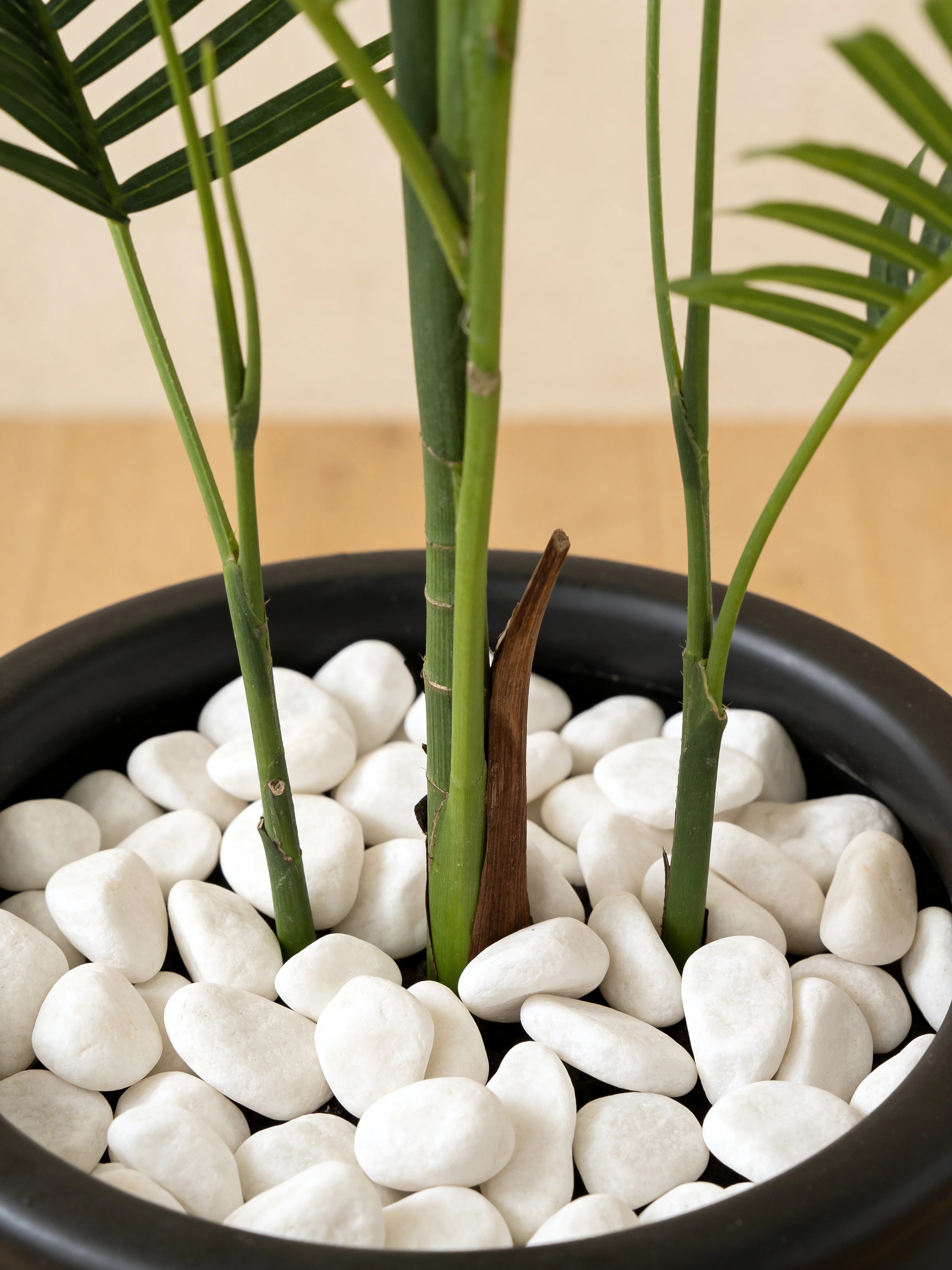 Artificial kentia palm tree in a Dubai living room