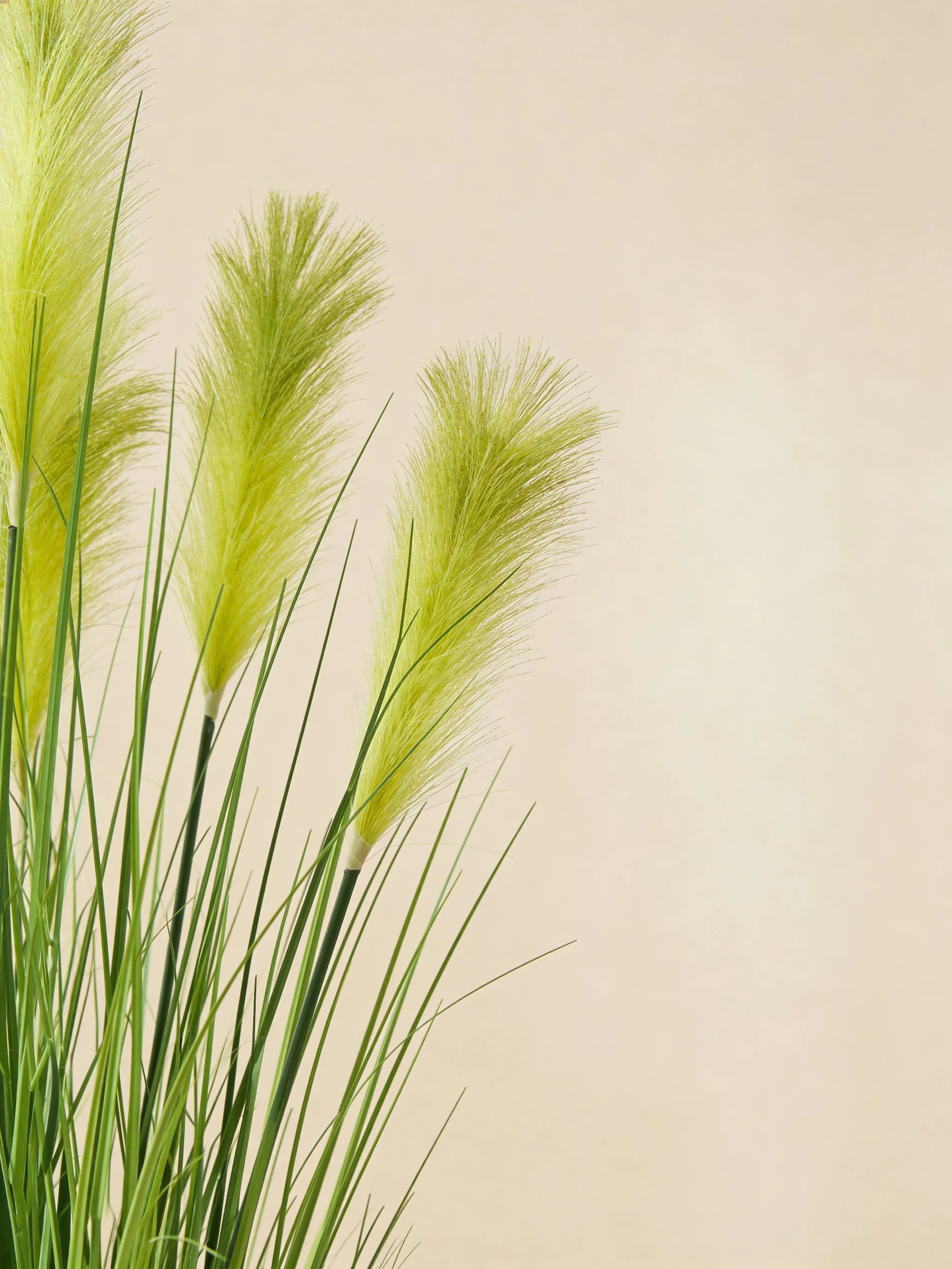 Yellow artificial pampas grass, close-up detail