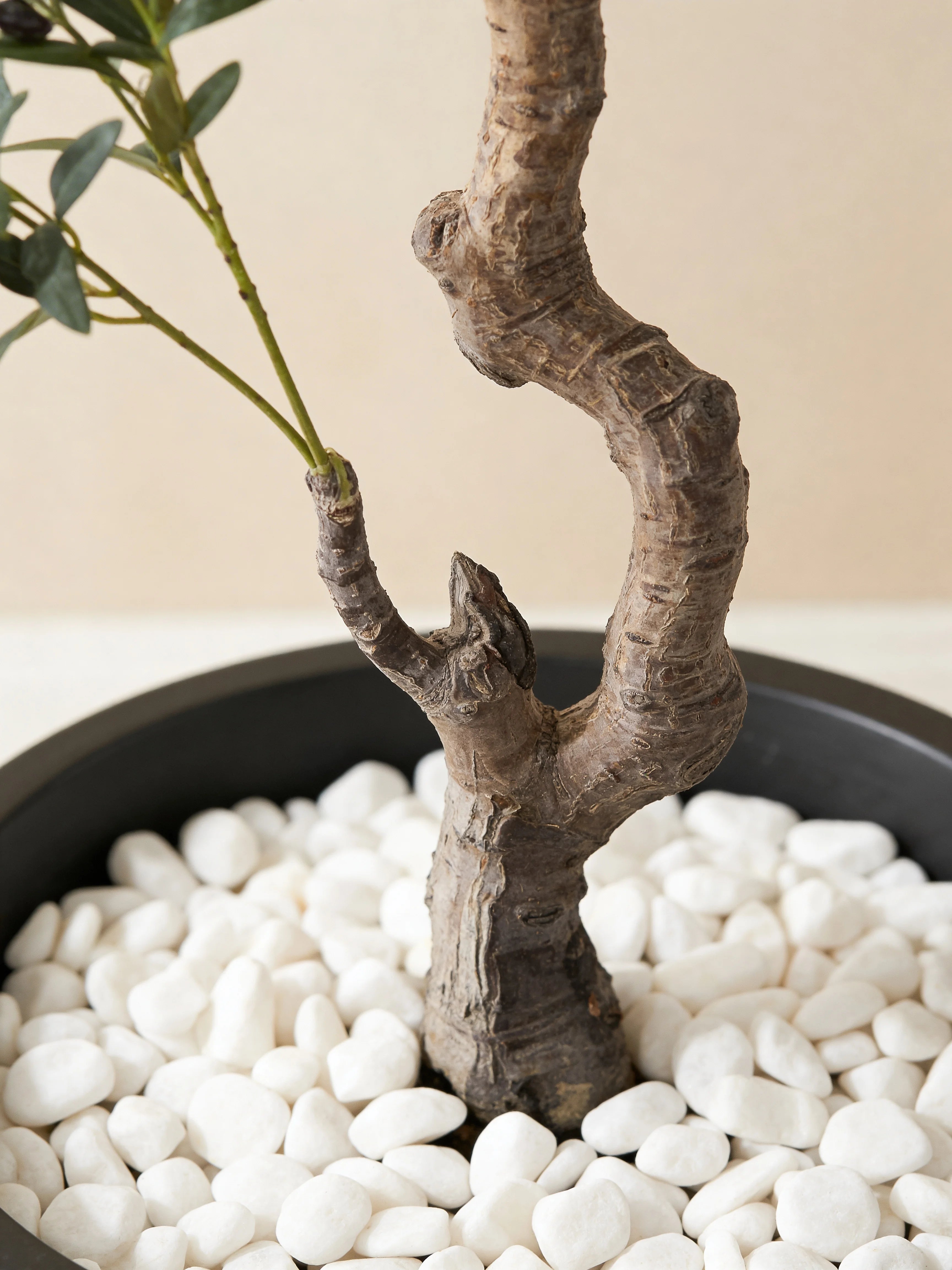 Silk artificial olive tree with dual-stem trunk in a Dubai living room