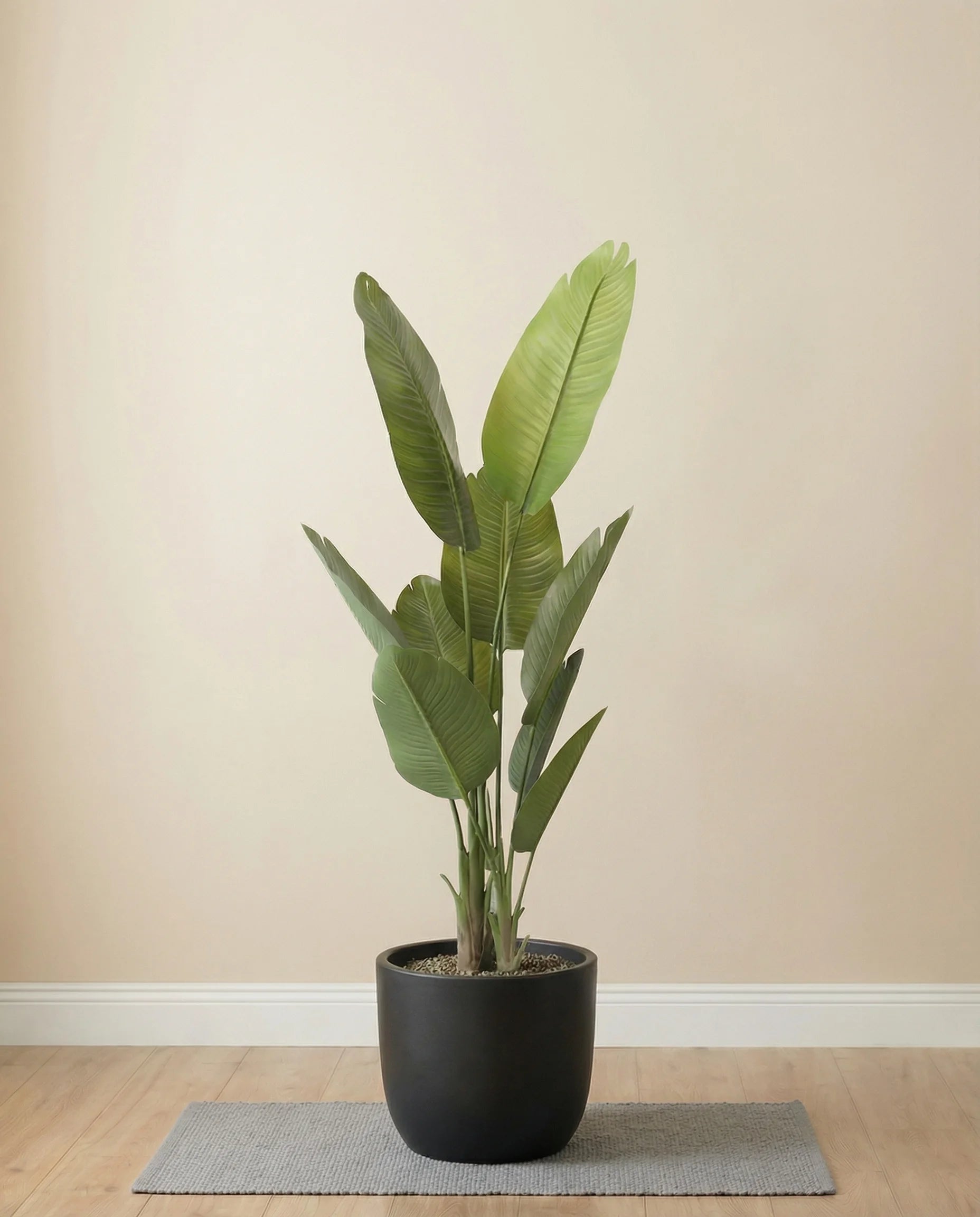 Artificial Strelitzia Nicolai Plant