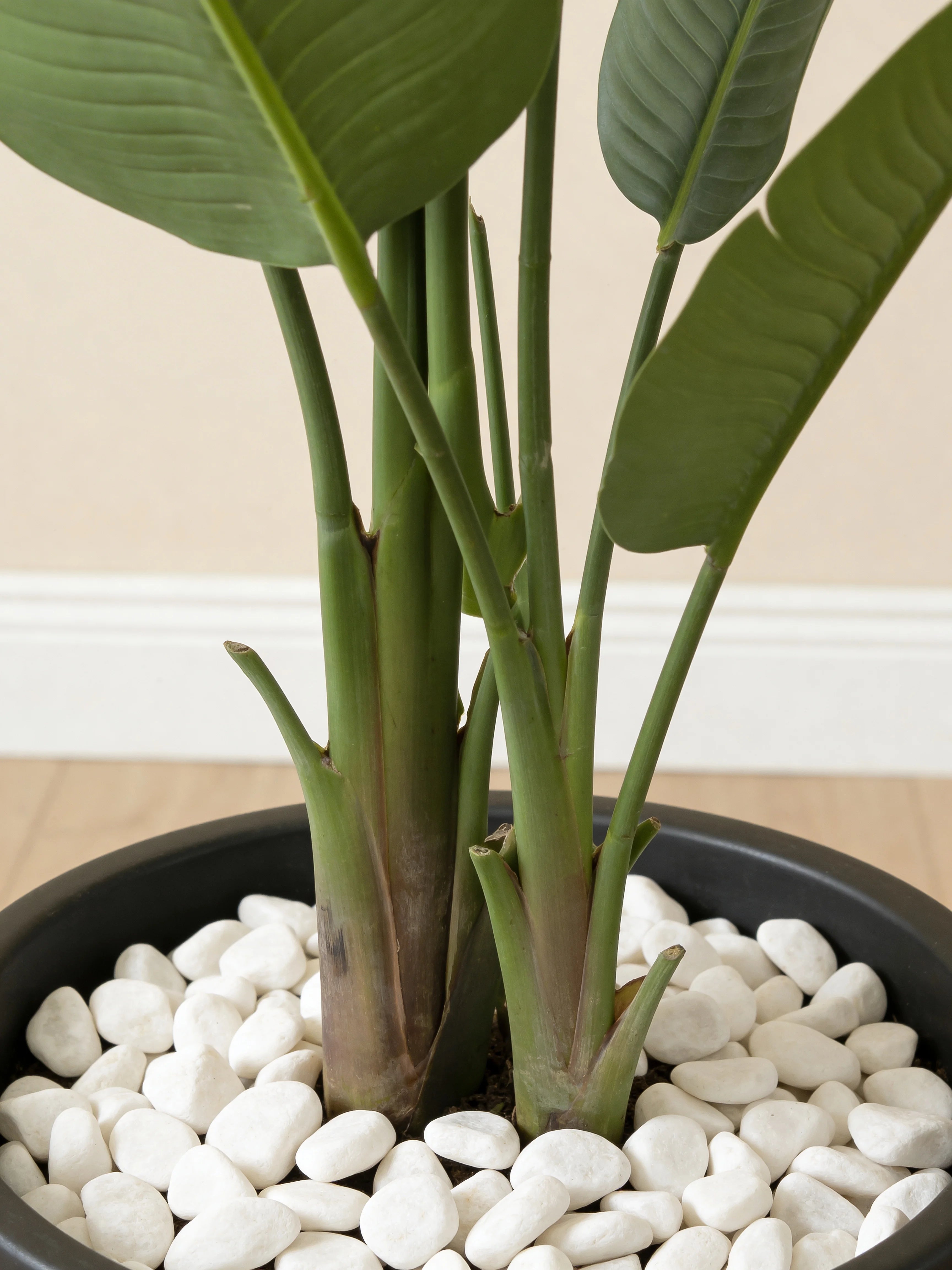 Strelitzia Nicolai wild banana artificial plant in a Dubai living room