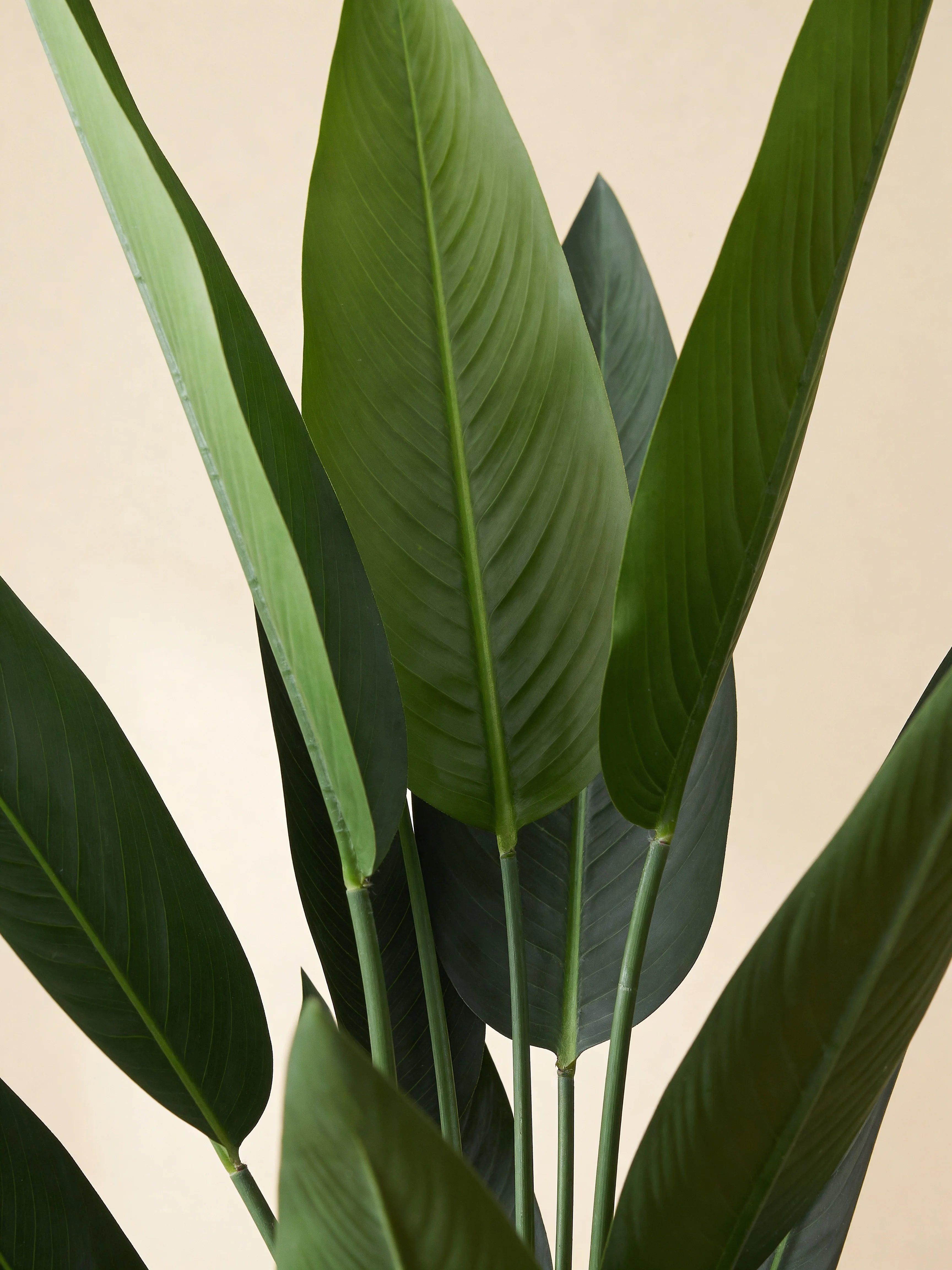 Artificial Strelitzia Reginae Plant