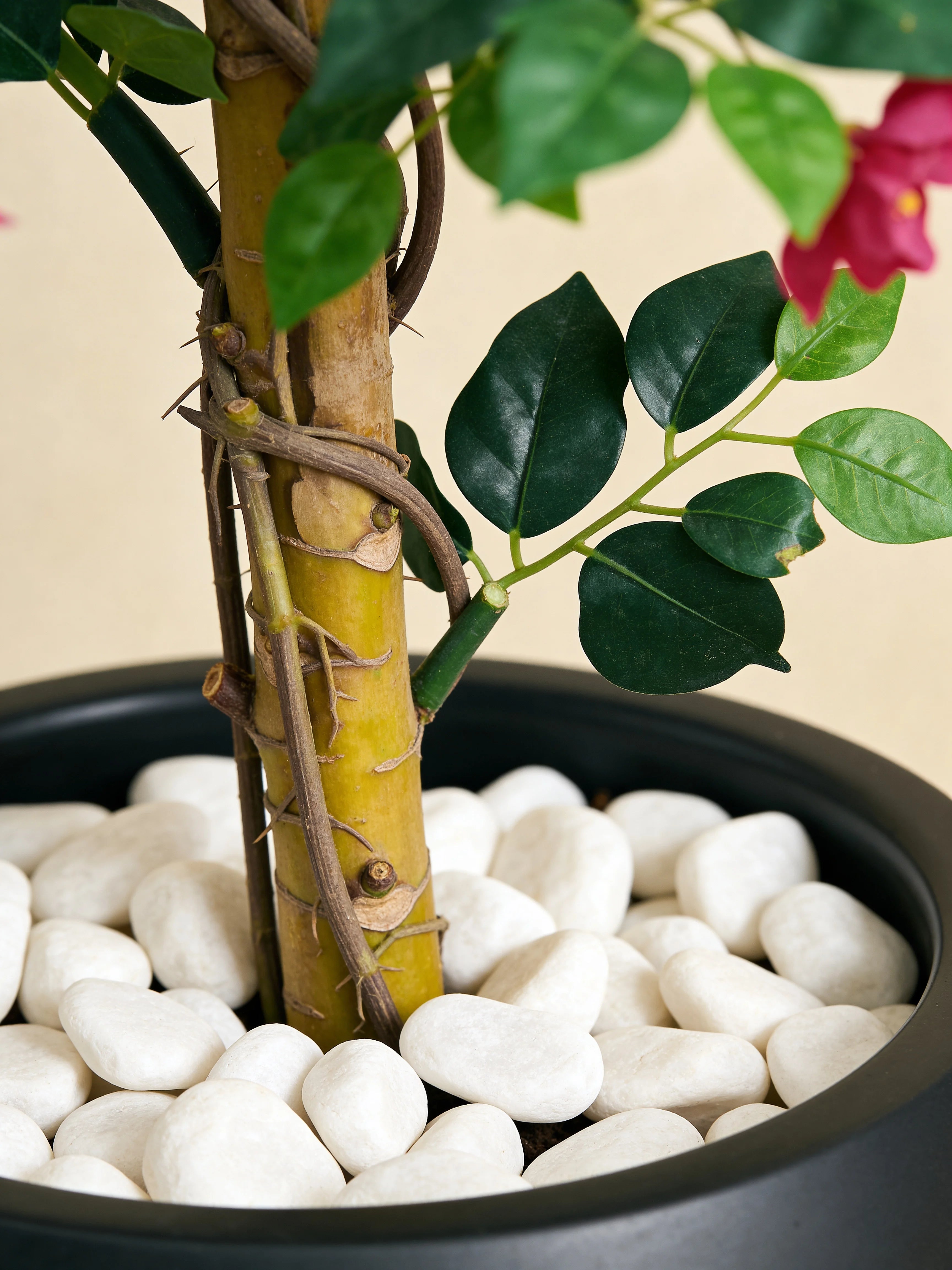 Twisted artificial bougainvillea tree in a Dubai living room