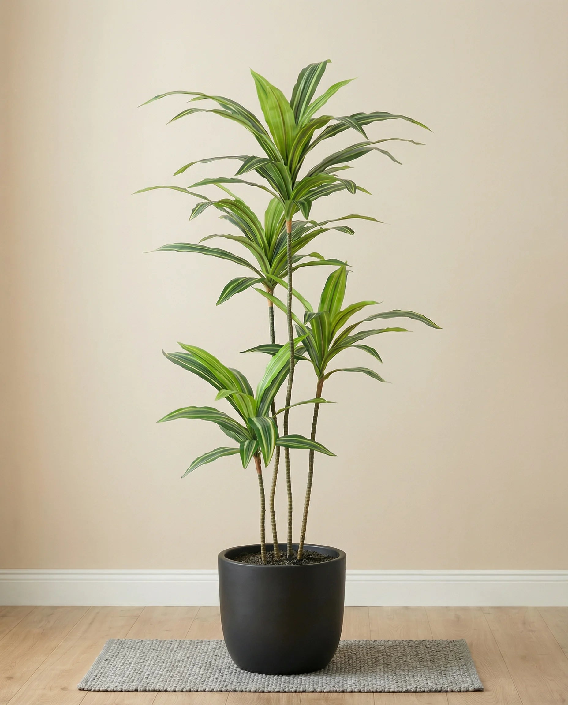 Artificial Yucca Plant with Variegated Leaves