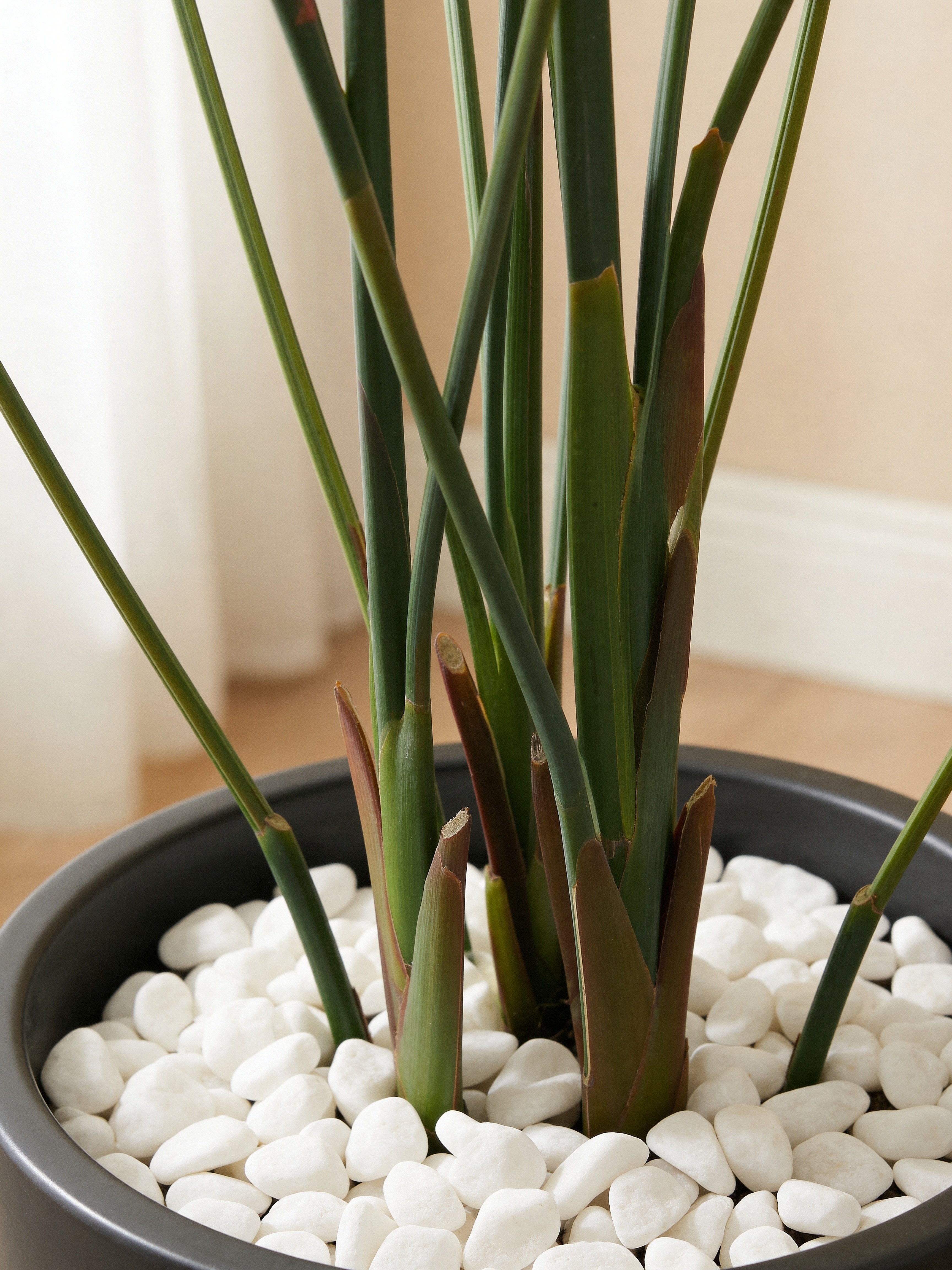 Bird of paradise artificial plant (Strelitzia Reginae) in a Dubai living room