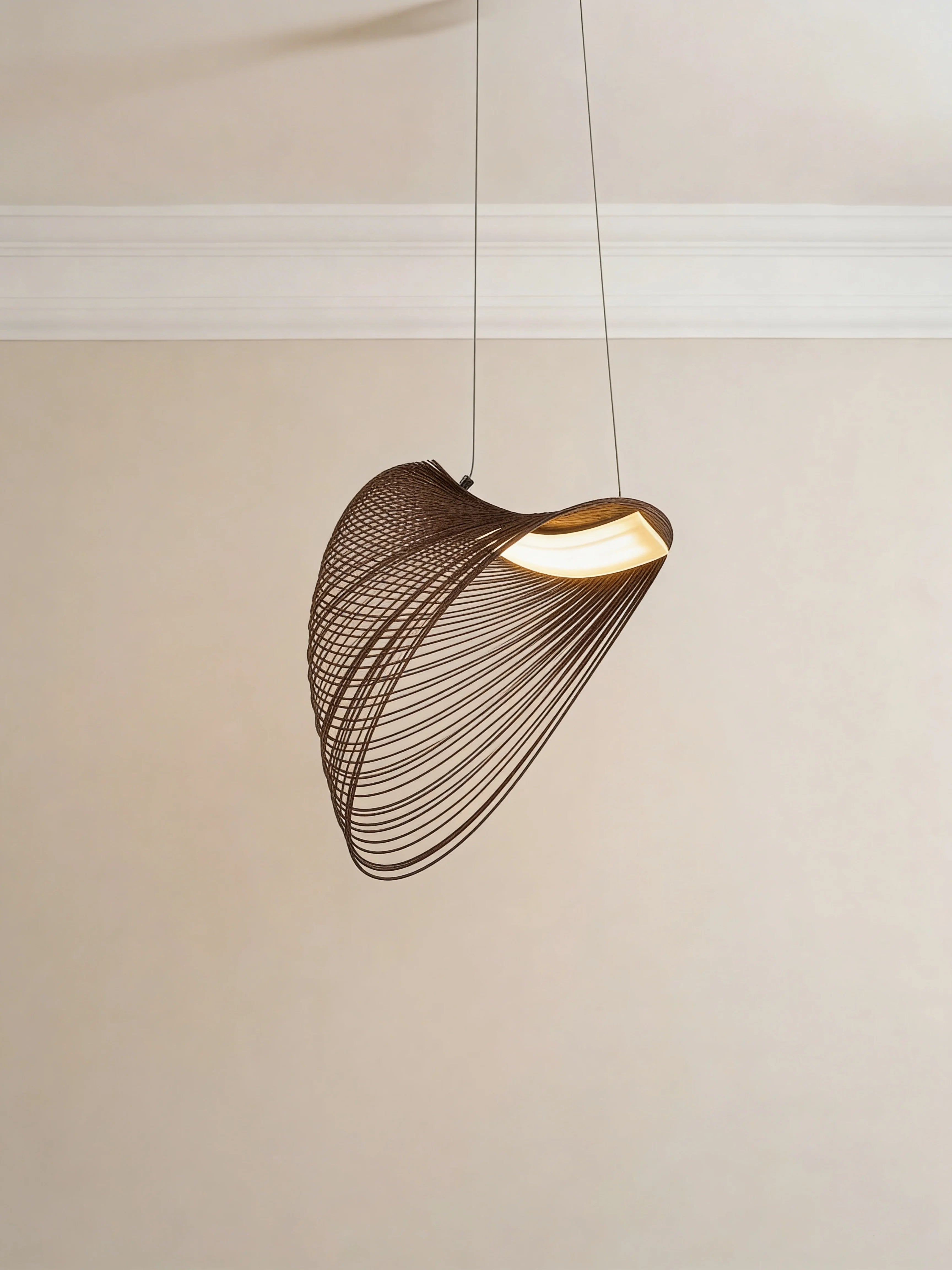 Black Japandi Wire Loop Pendant Light