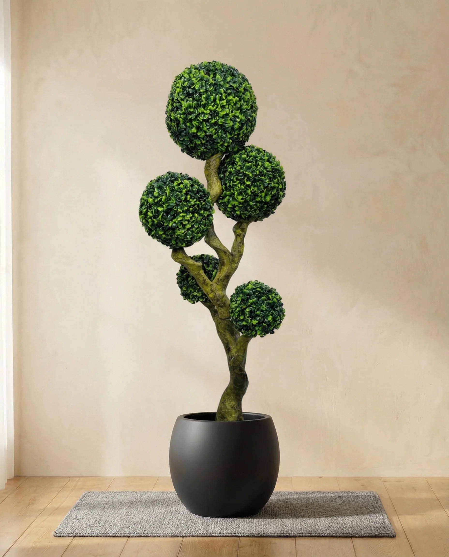 Boxwood topiary bonsai tree