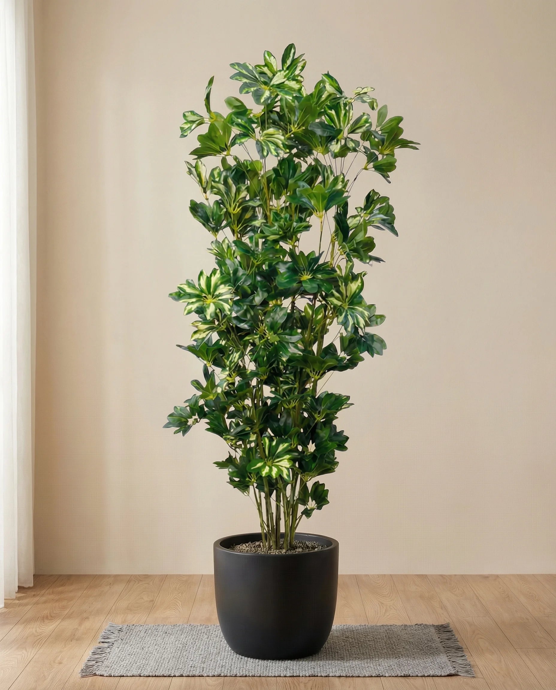 EVA Schefflera Artificial Tree with Variegated Leaves