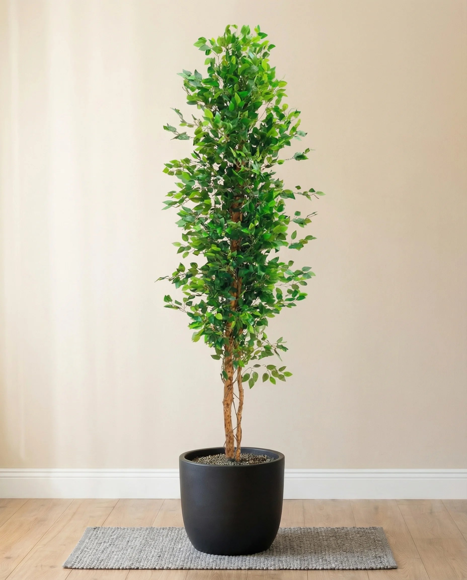 Elegant Artificial Ficus Tree with Golden Trunk