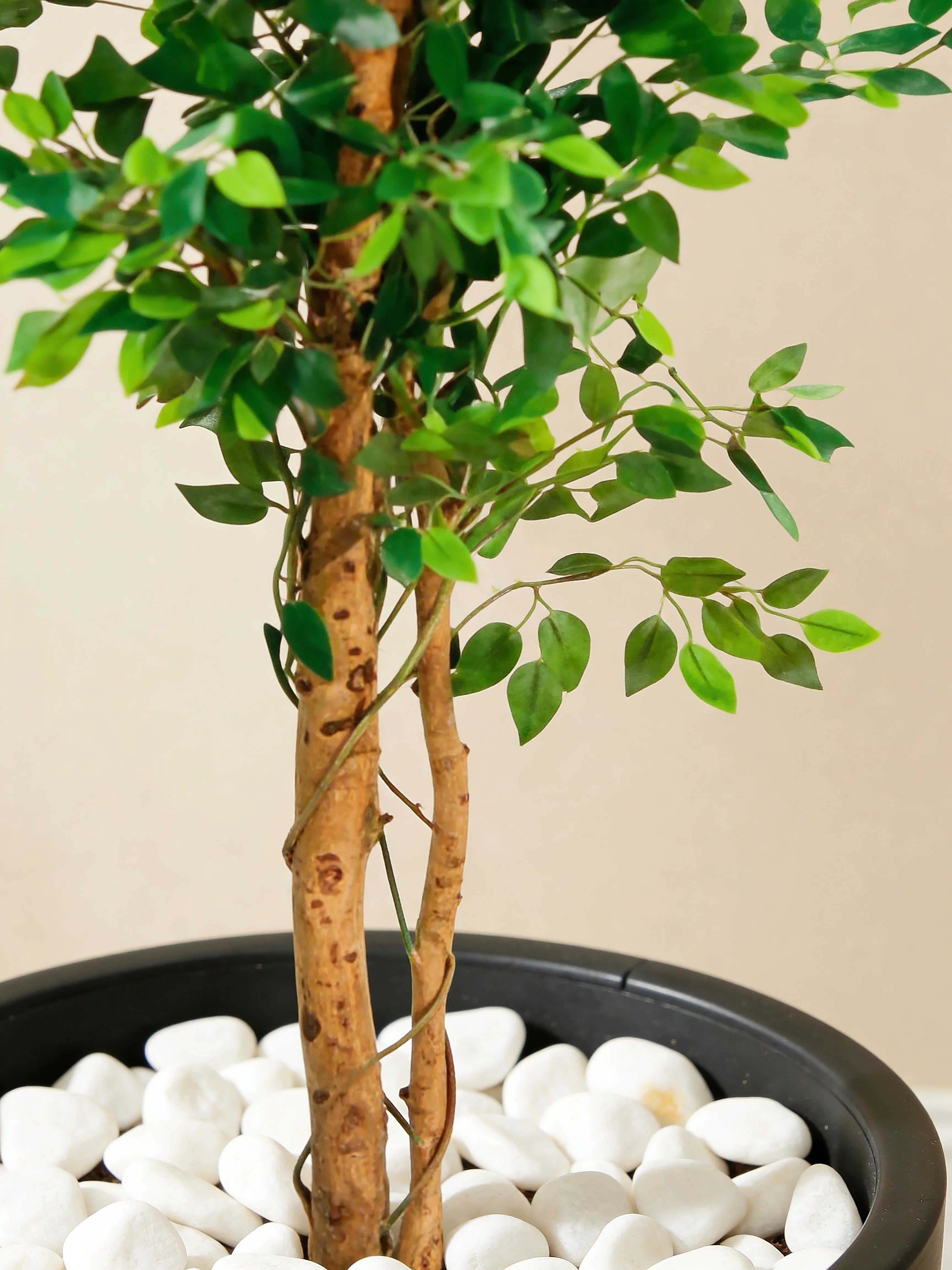 Artificial ficus tree with golden trunk in a Dubai living room
