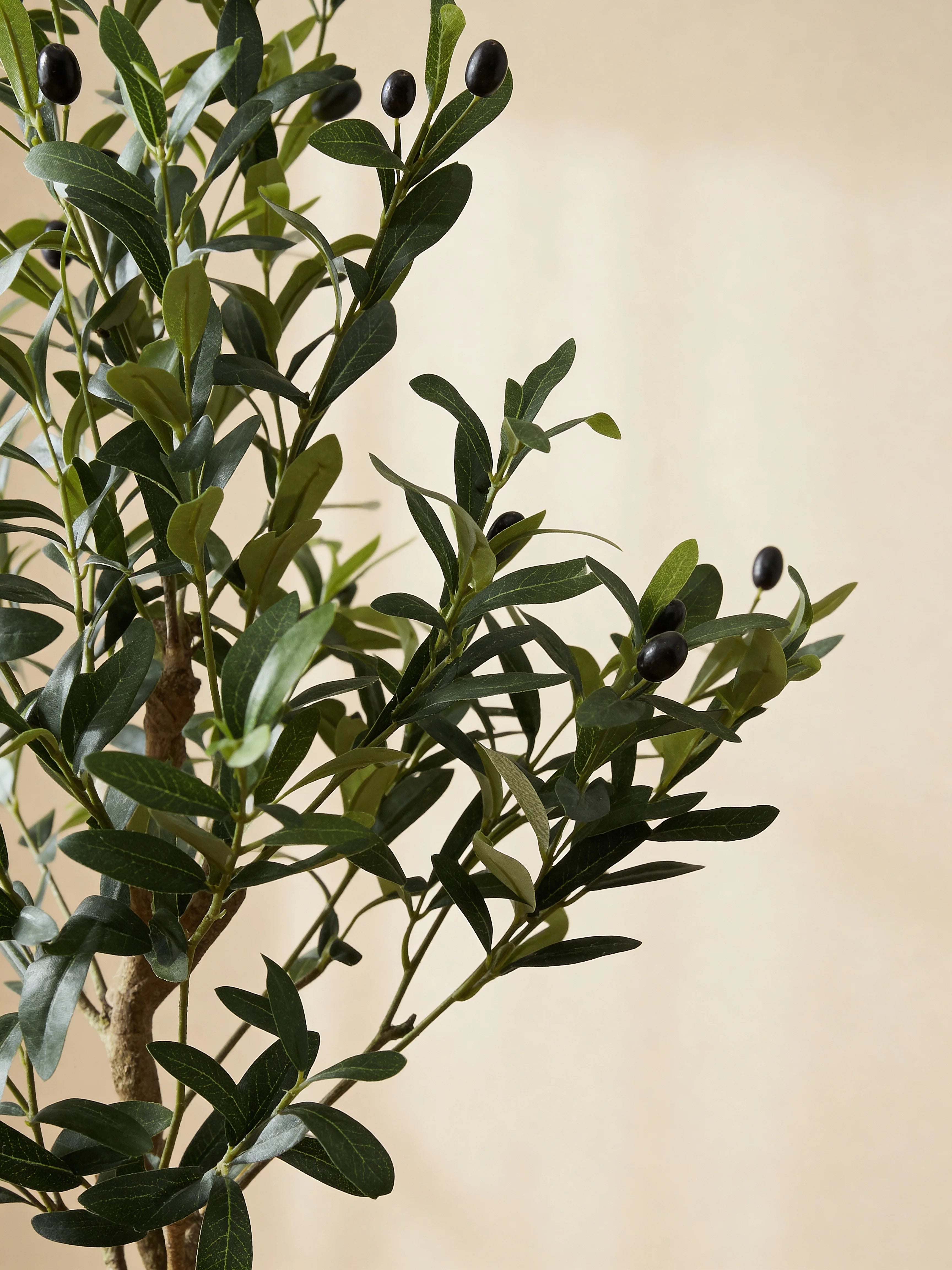 Faux olive tree with realistic olives, close-up detail