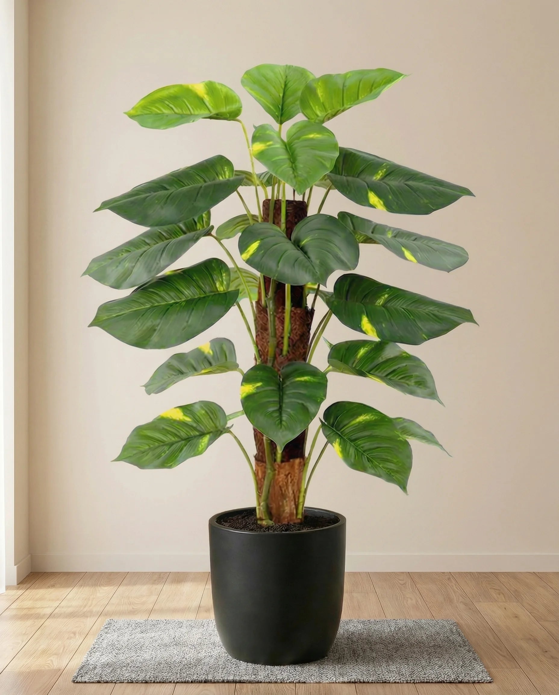 Faux ornamental money plant