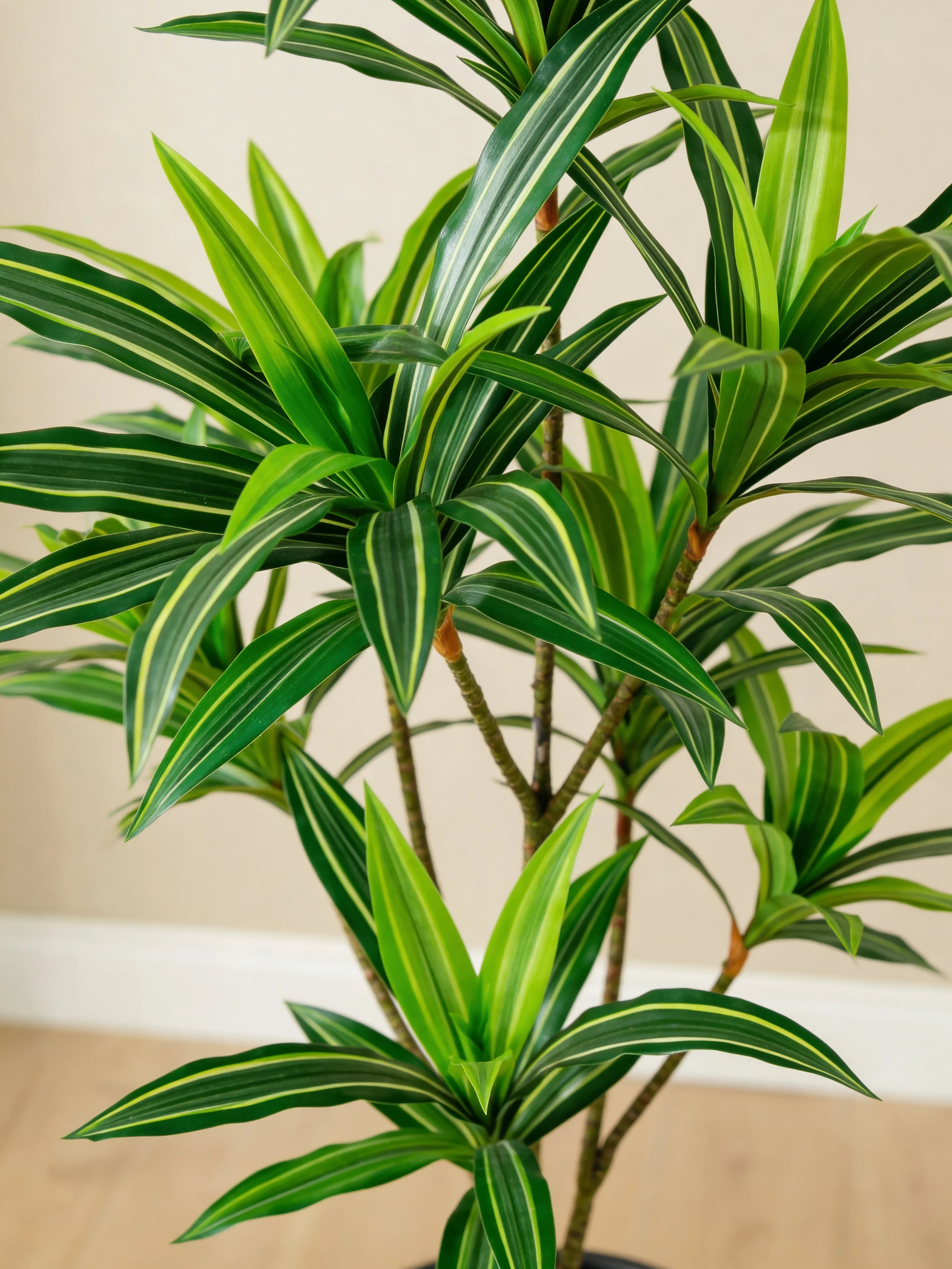 Single-stem variegated yucca artificial plant, close-up detail