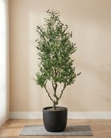 Faux Triple Trunk Olive Tree with Olives