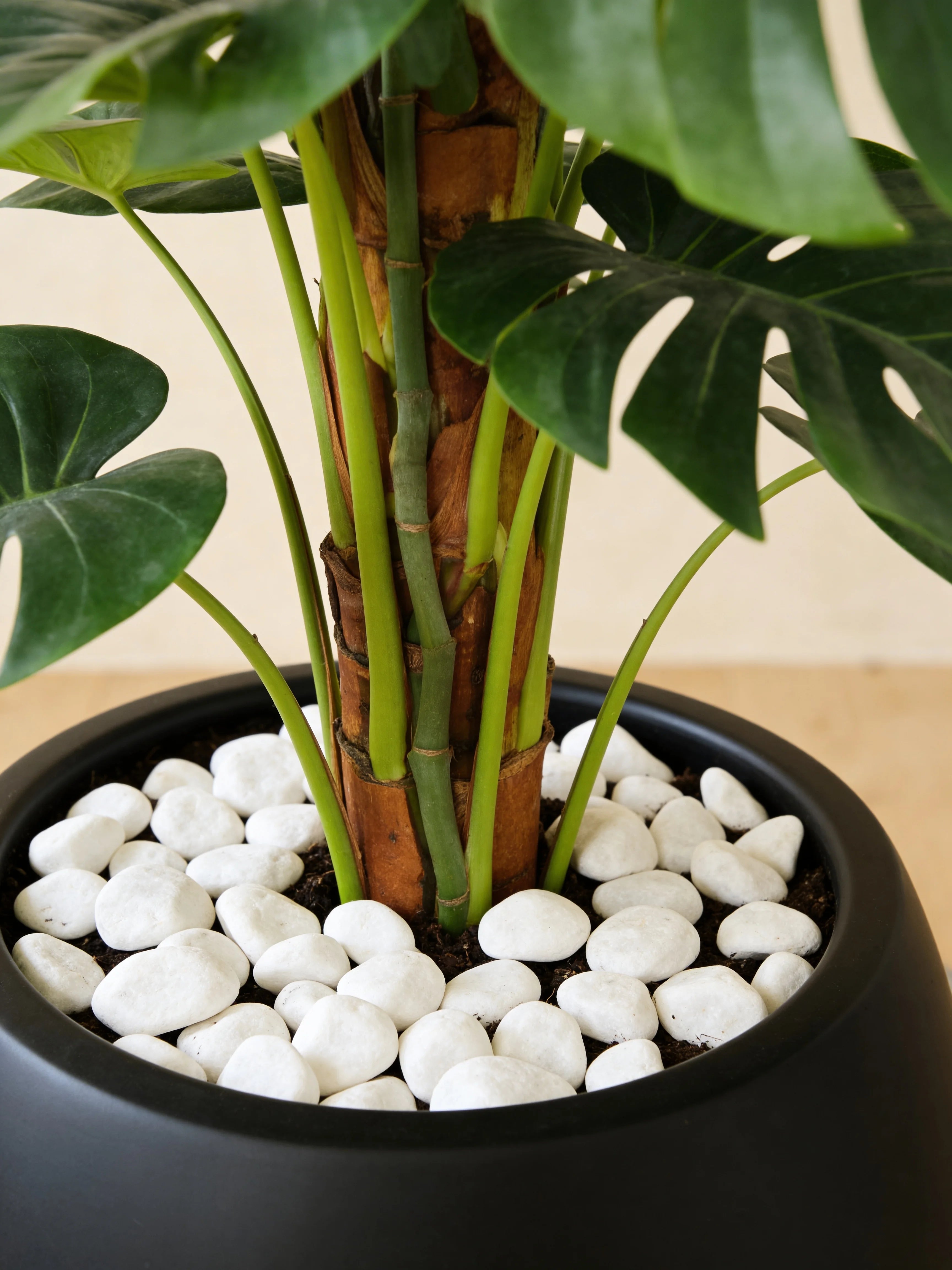 Giant Monstera Deliciosa artificial plant in a Dubai living room