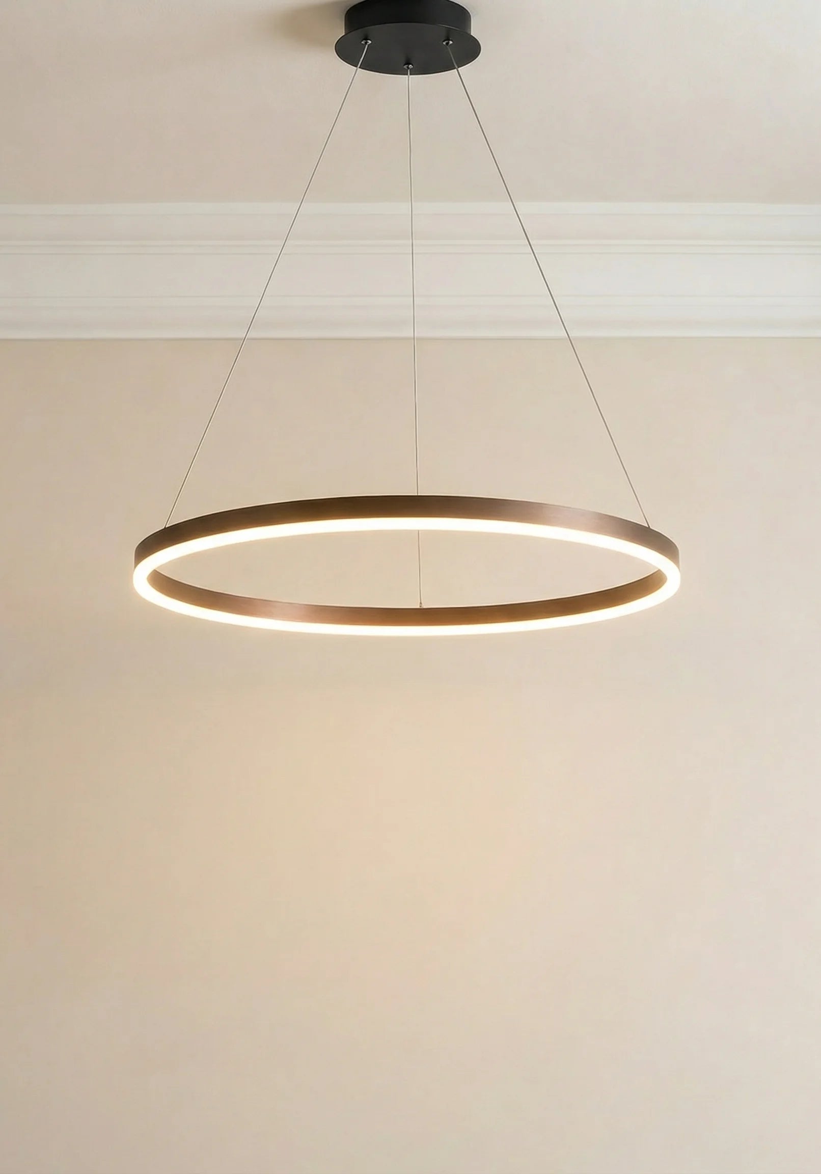 Halo Modern Ring Pendant Light