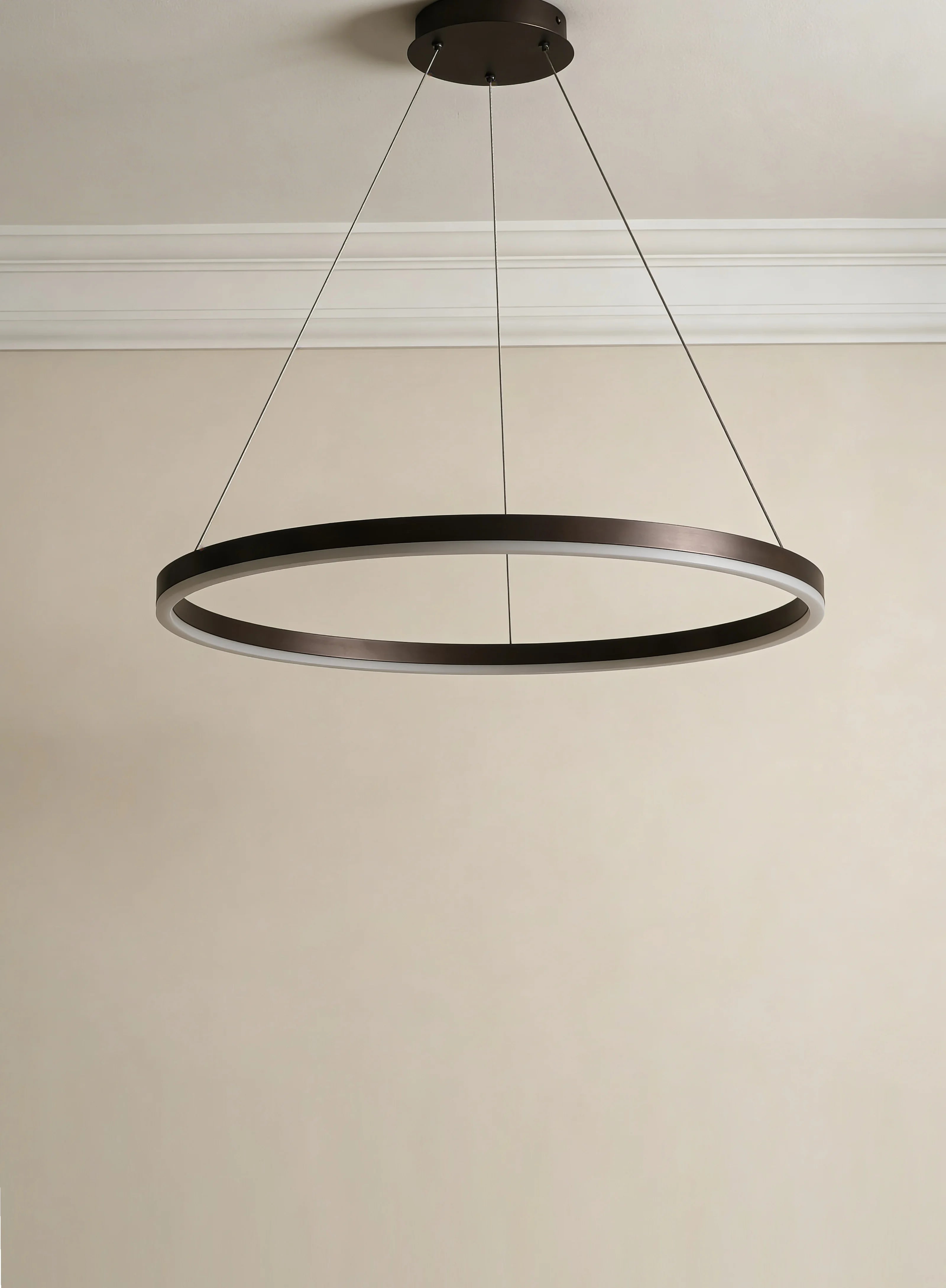 Halo Modern Ring Pendant Light