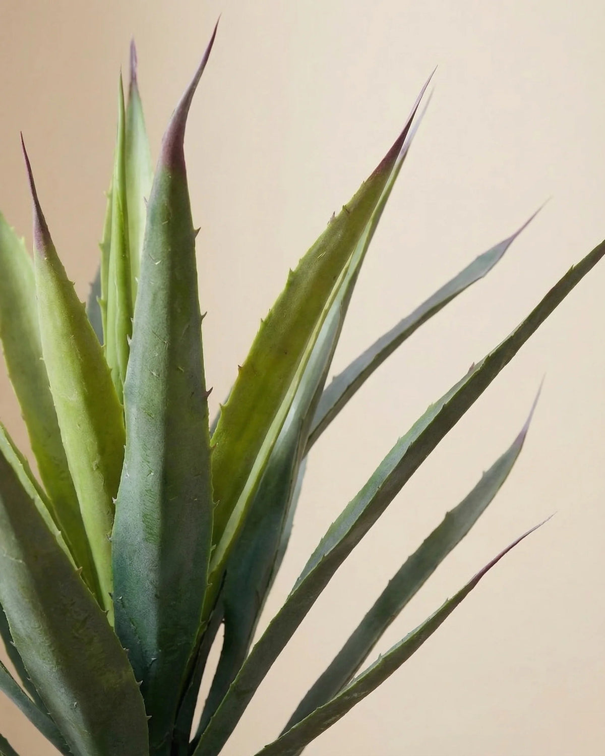 Spiked agave artificial plant, close-up detail