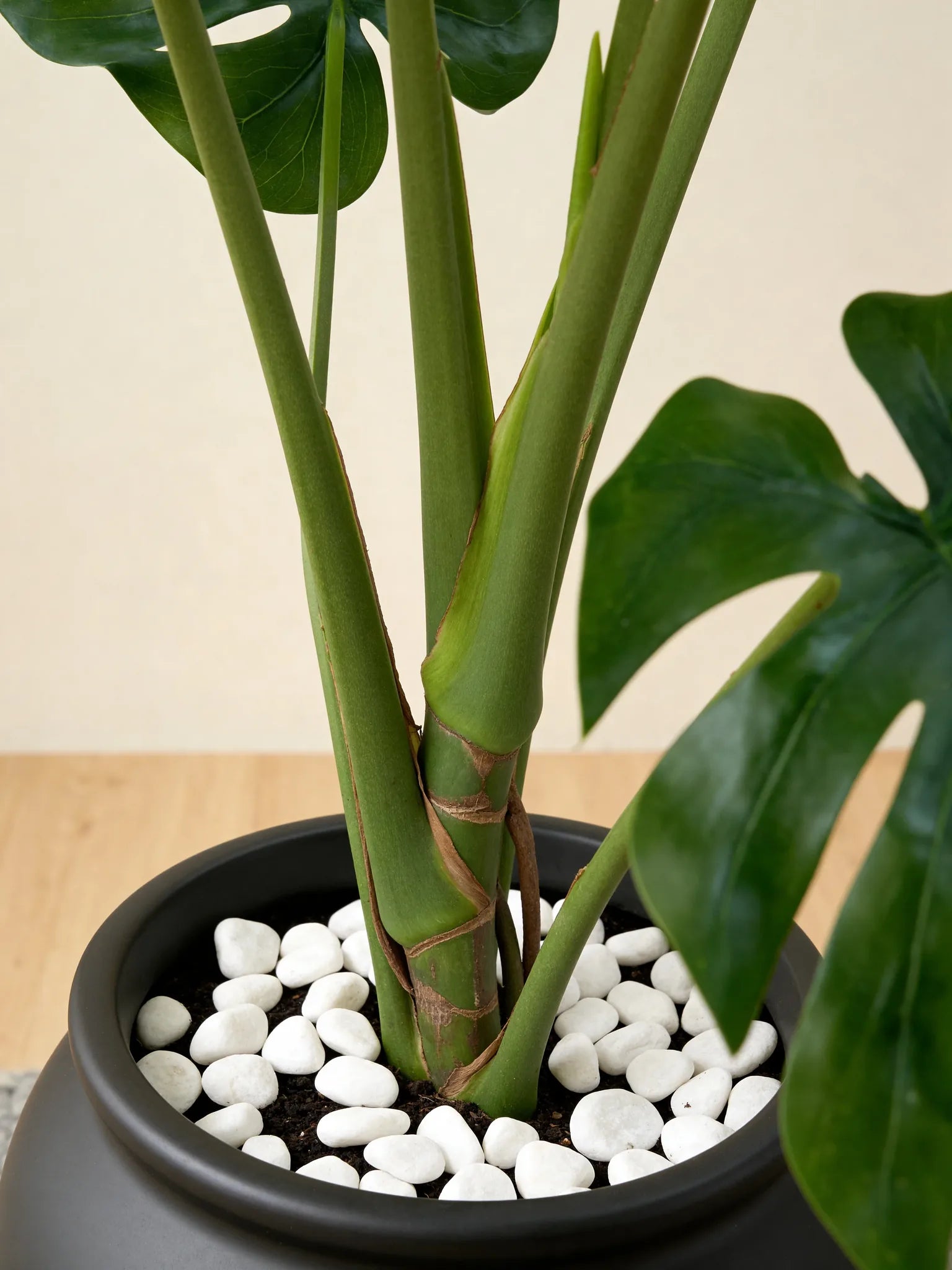Swiss cheese monstera faux plant in a Dubai living room