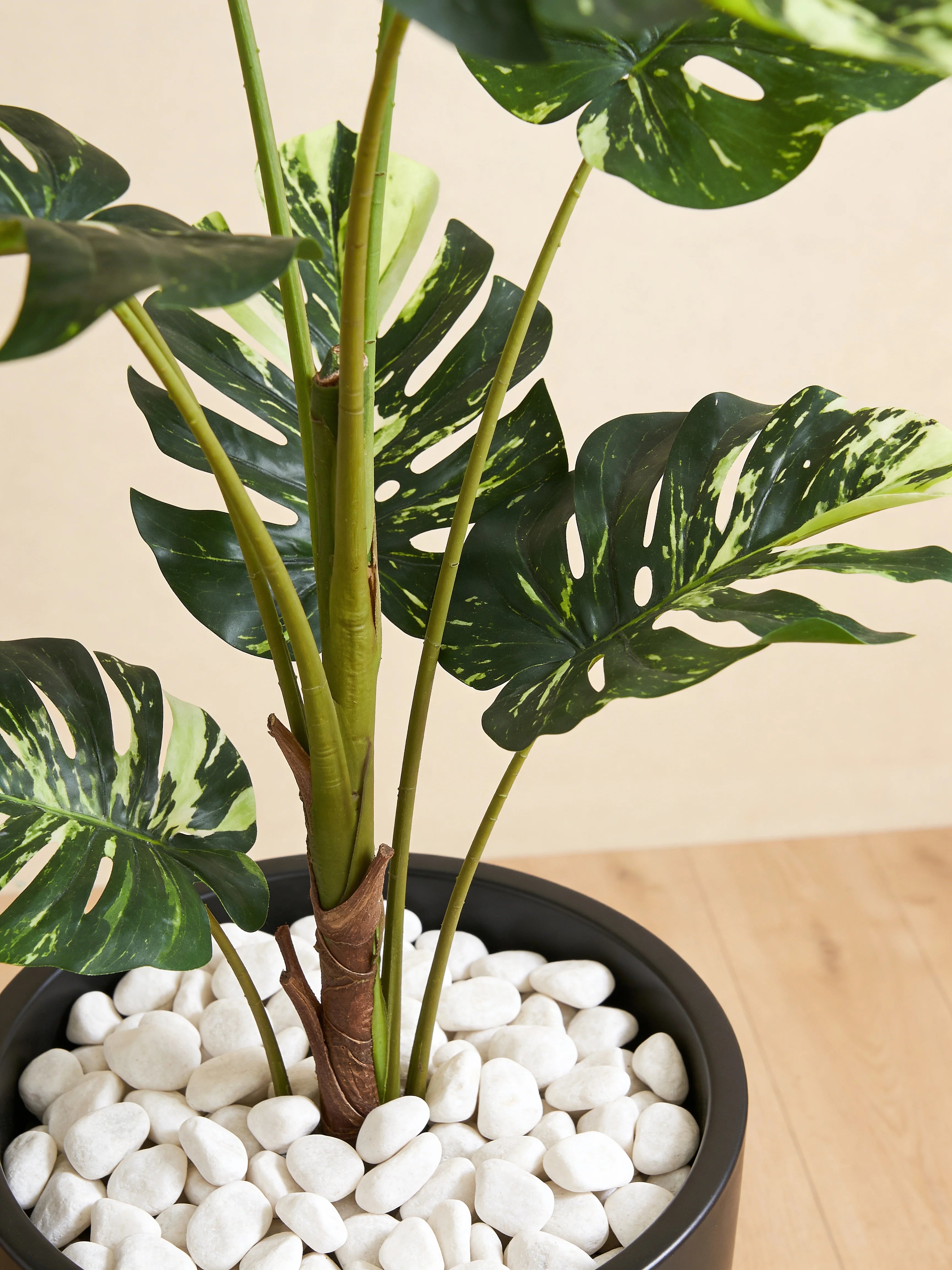 Tropical monstera Borsigiana artificial plant in a Dubai living room