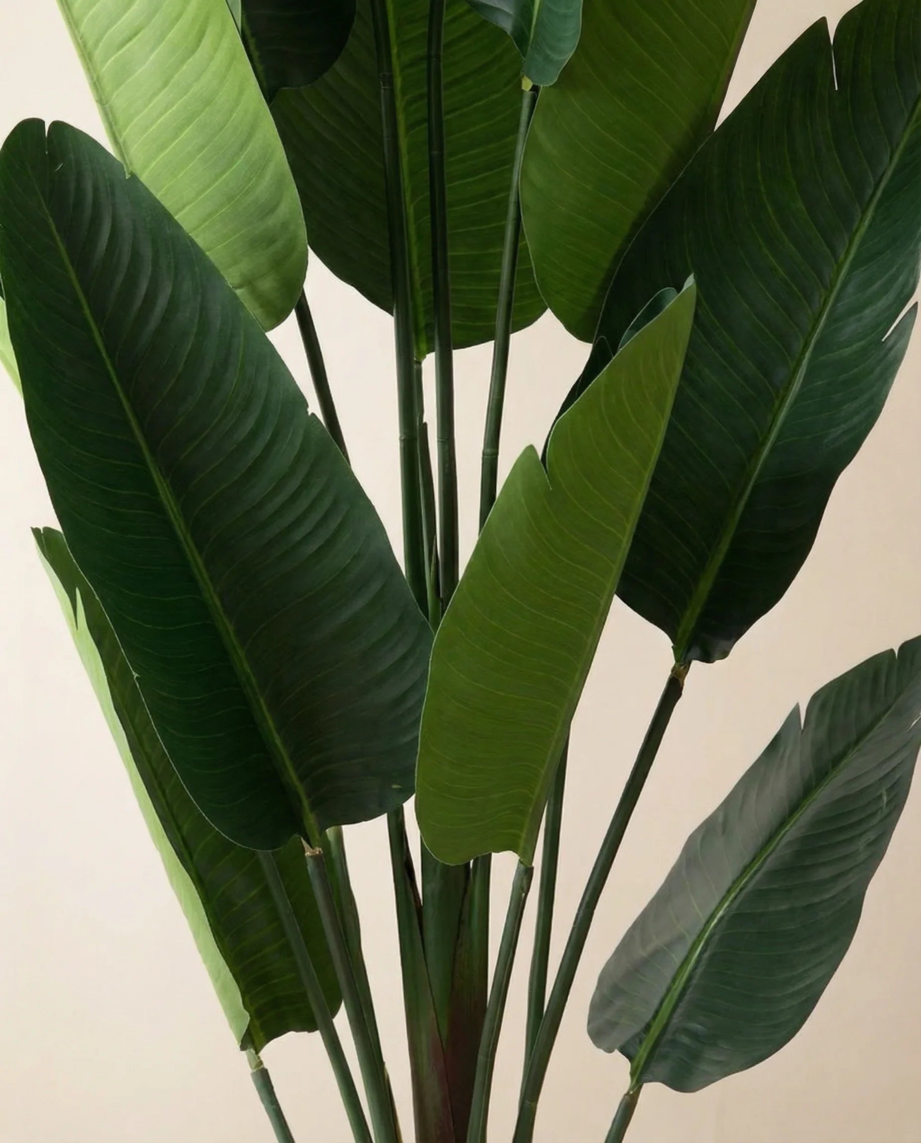 Wild banana artificial plant foliage detail