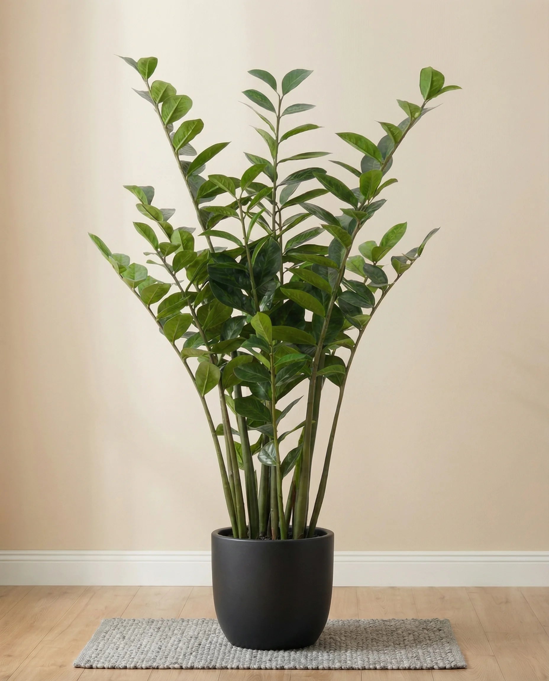 Zanzibar Gem Artificial Plant Zamioculcas Zamiifolia